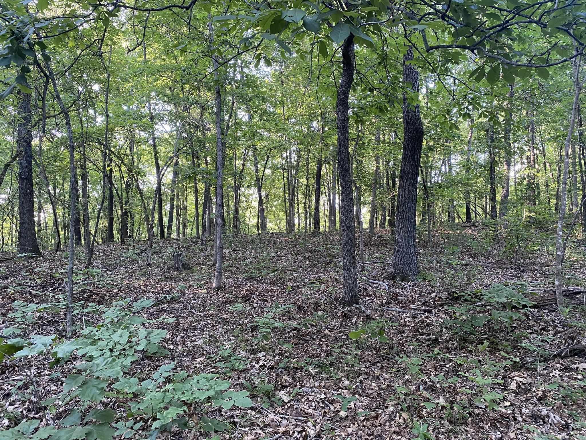 80  Ridge Road  Hardy, AR