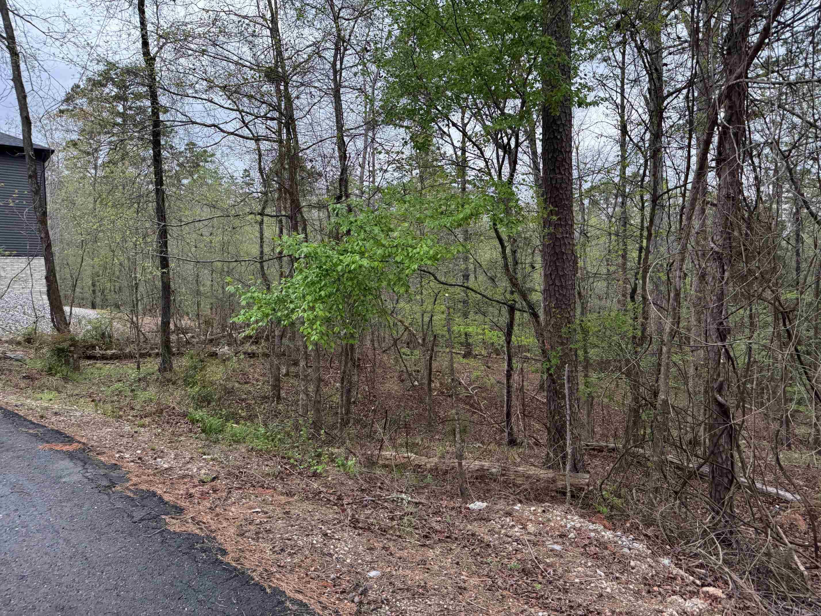 13  SORPRESA LANE  Hot Springs Village, AR