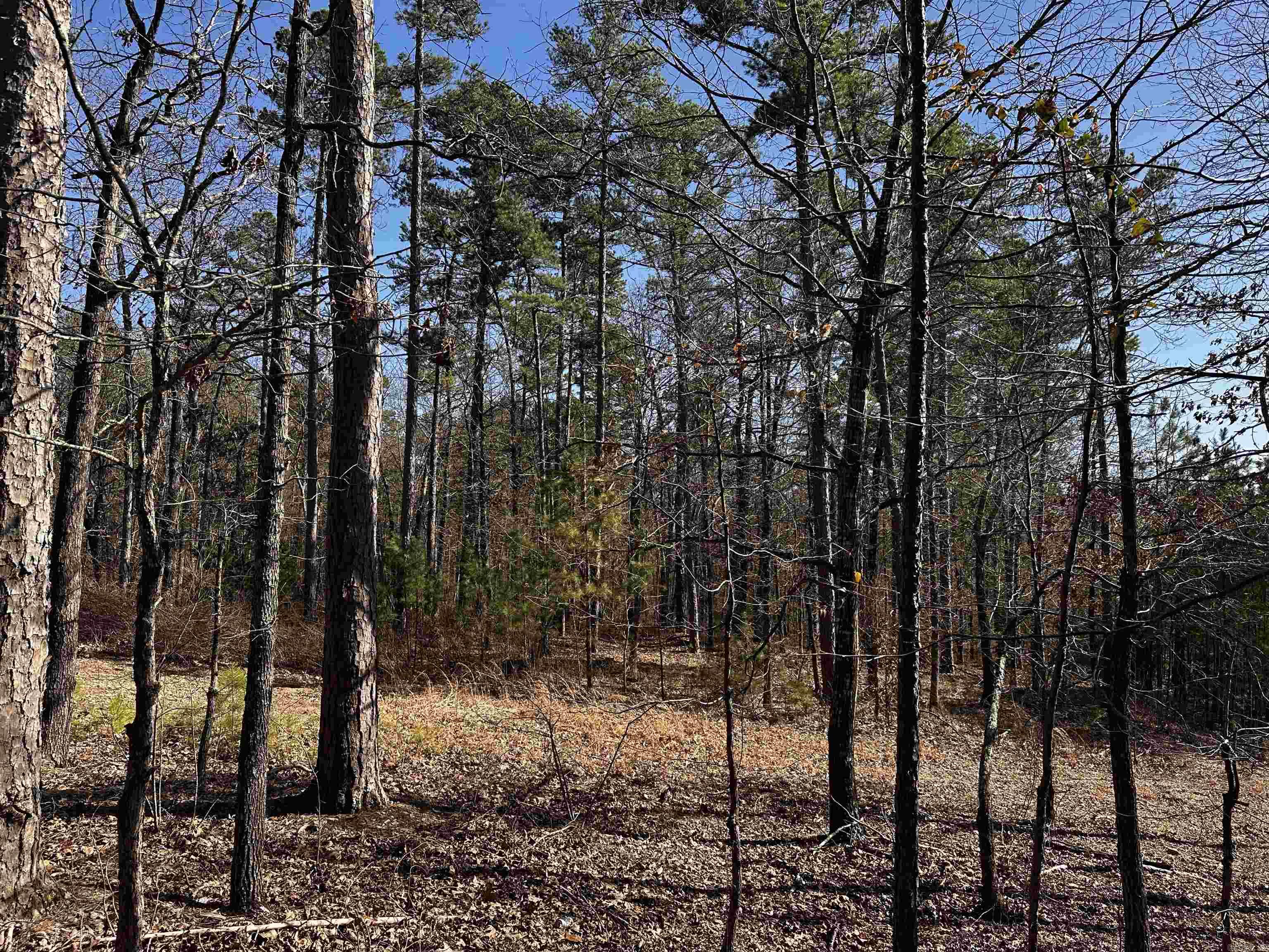 TBD  Gardenia Ln.  Mena, AR