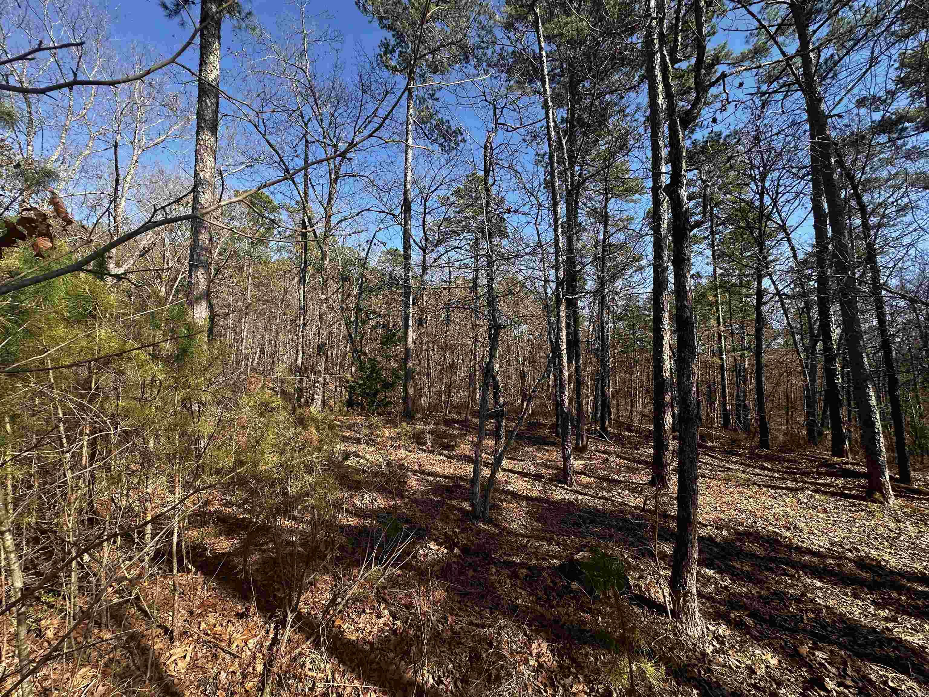 TBD  Gardenia Ln.  Mena, AR