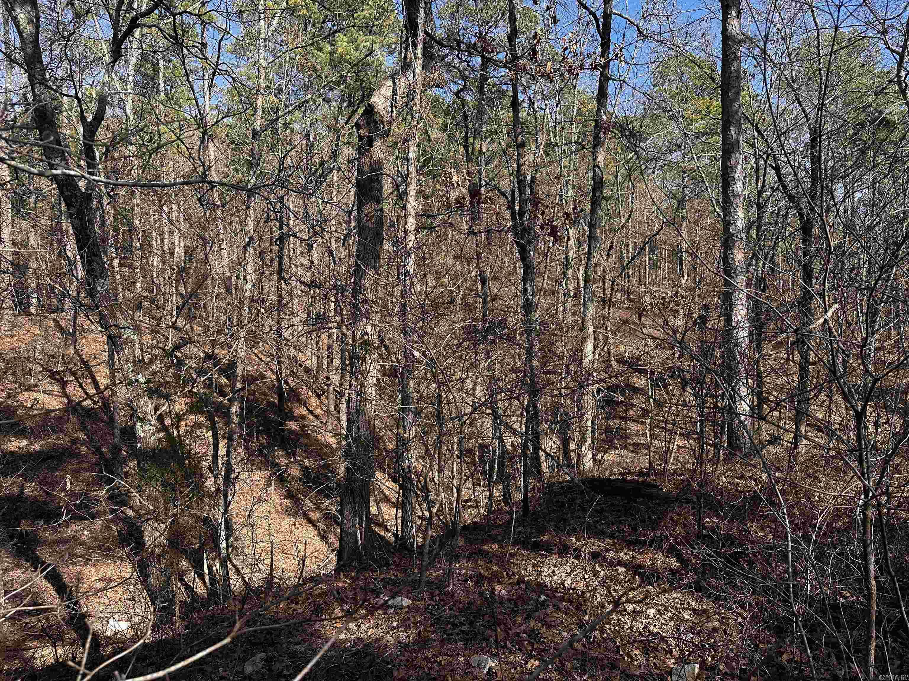 TBD  Gardenia Ln.  Mena, AR