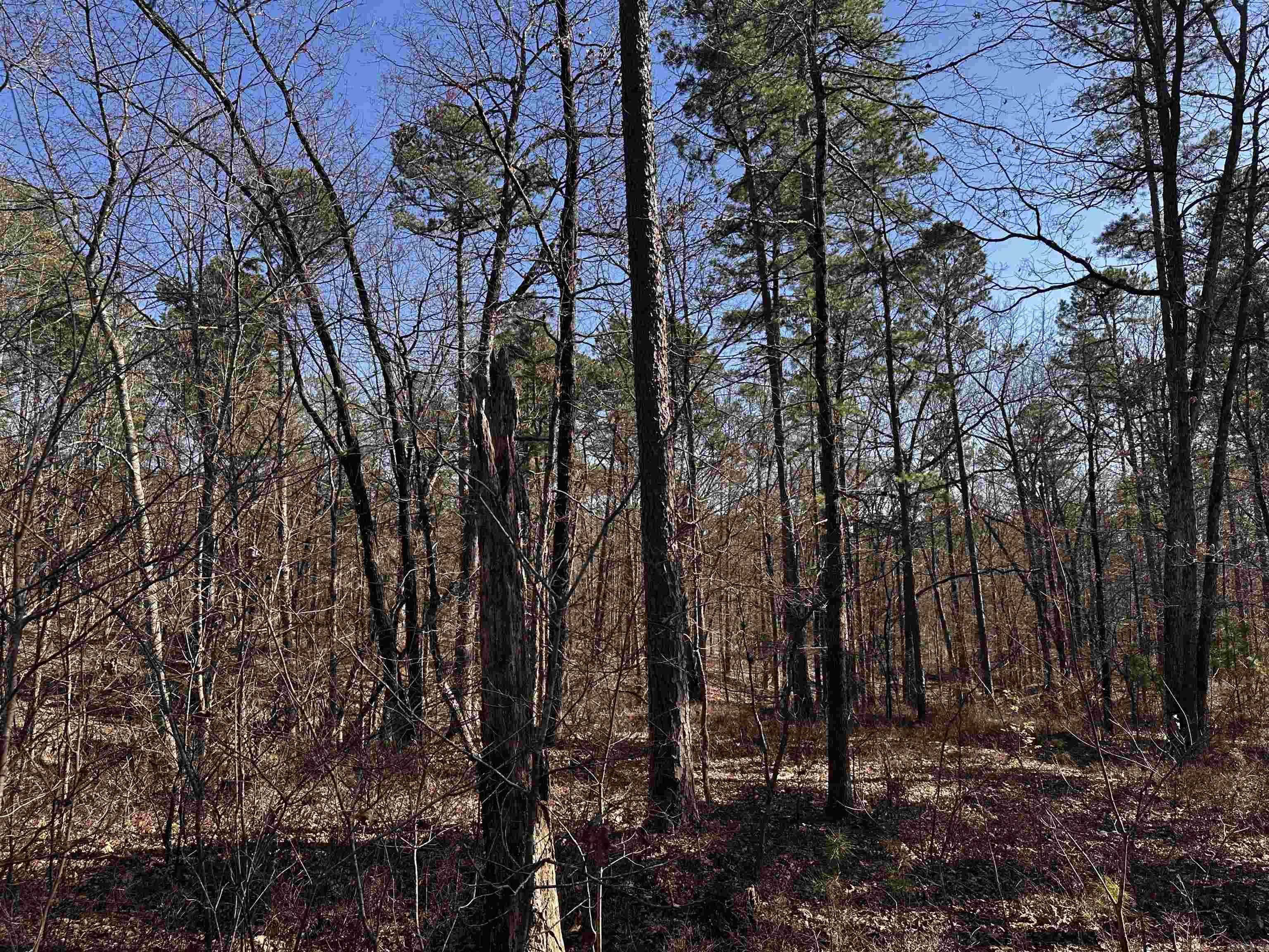 TBD  Gardenia Ln.  Mena, AR