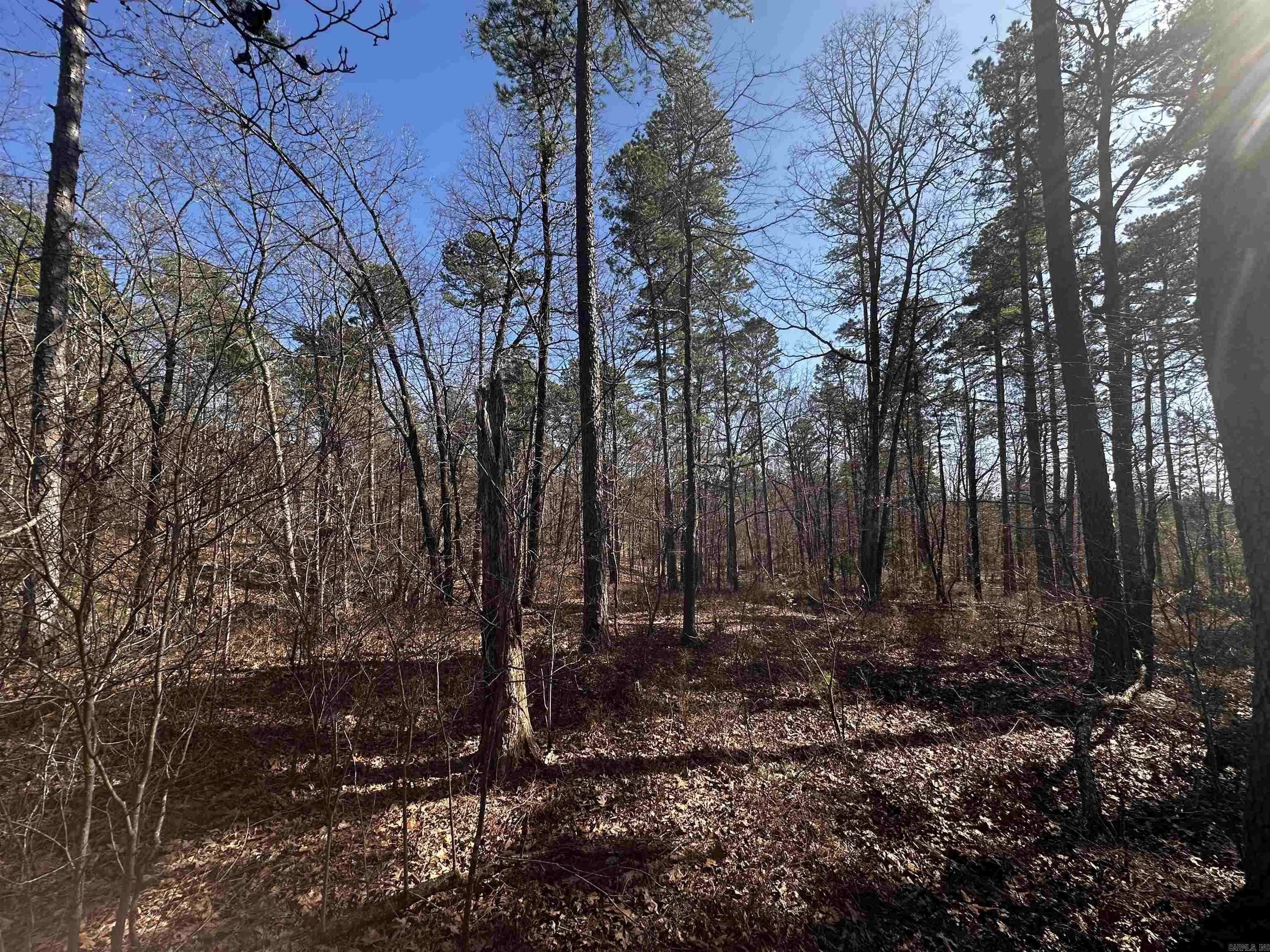 TBD  Gardenia Ln.  Mena, AR