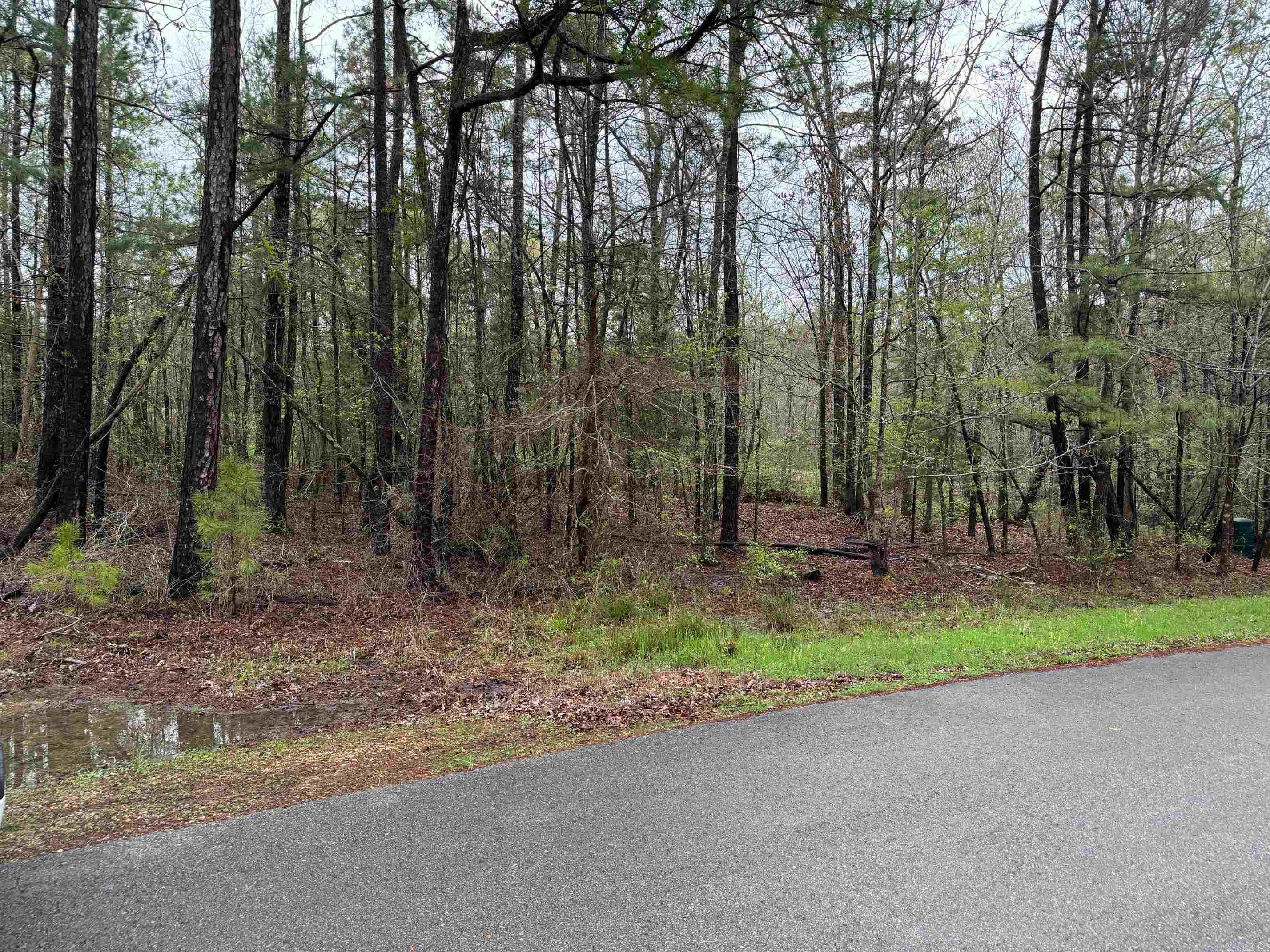 32  FACHADO WAY  Hot Springs Village, AR