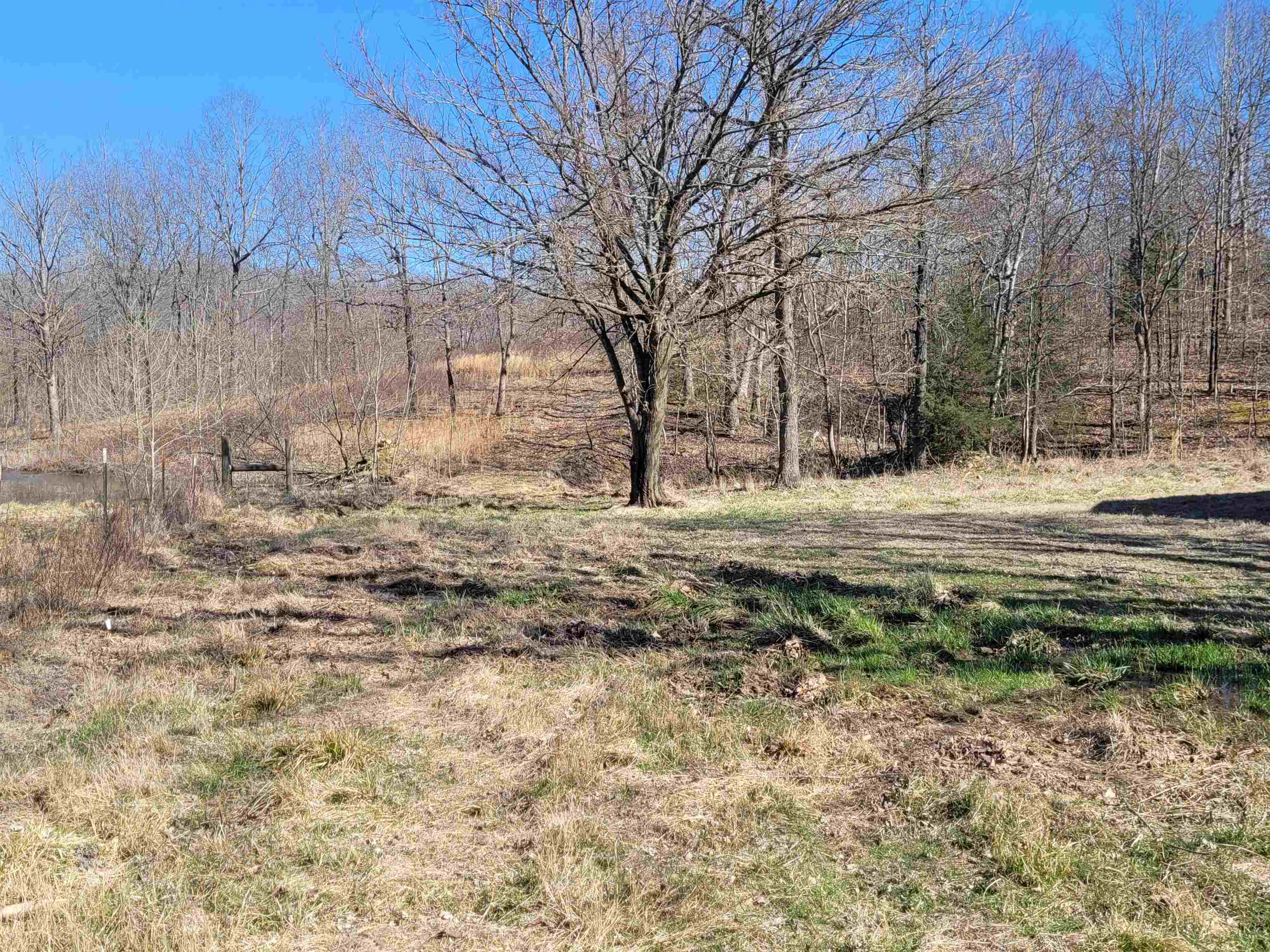 5642 Oak Ridge Road Ravenden Springs, AR 72460