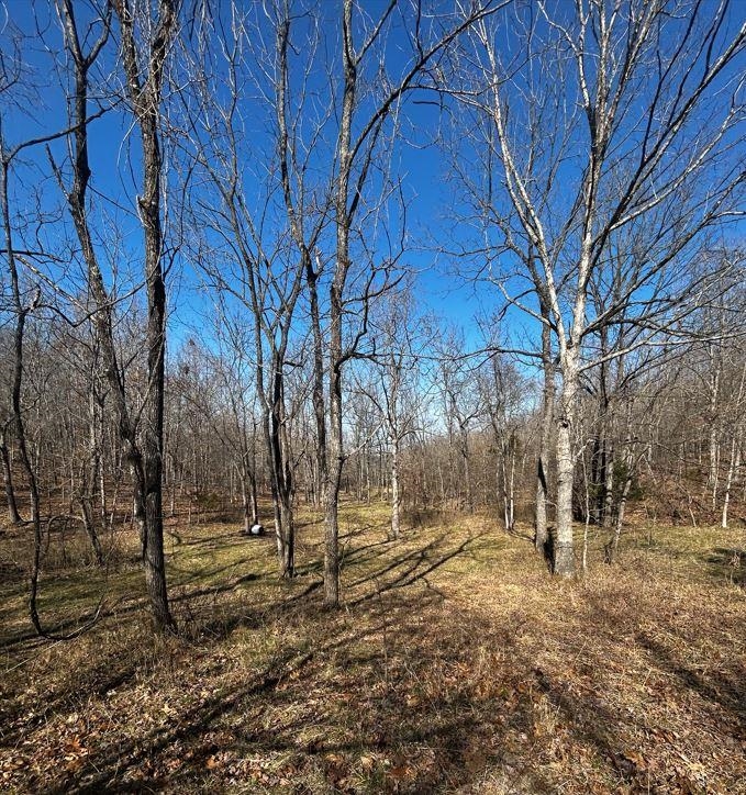 5642 Oak Ridge Road Ravenden Springs, AR 72460