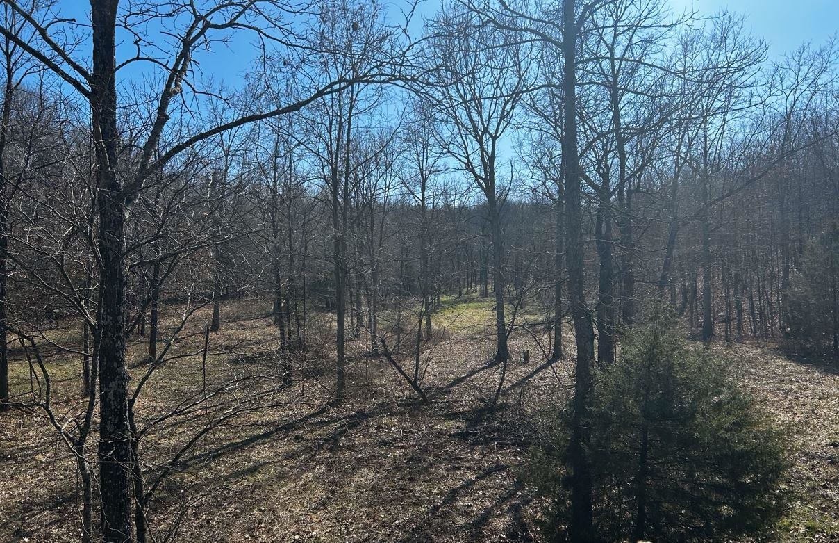 5642 Oak Ridge Road Ravenden Springs, AR 72460