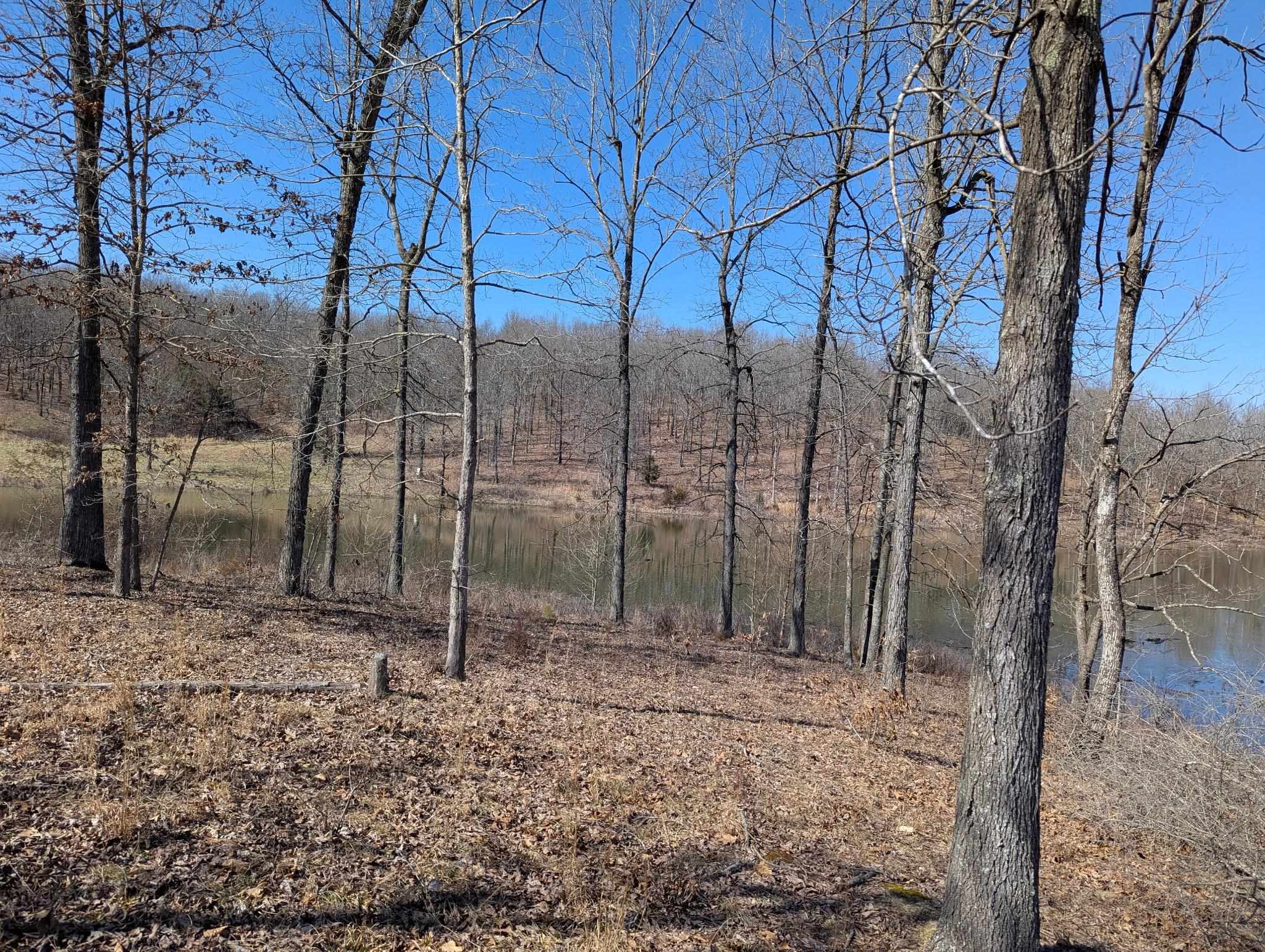 5642 Oak Ridge Road Ravenden Springs, AR 72460