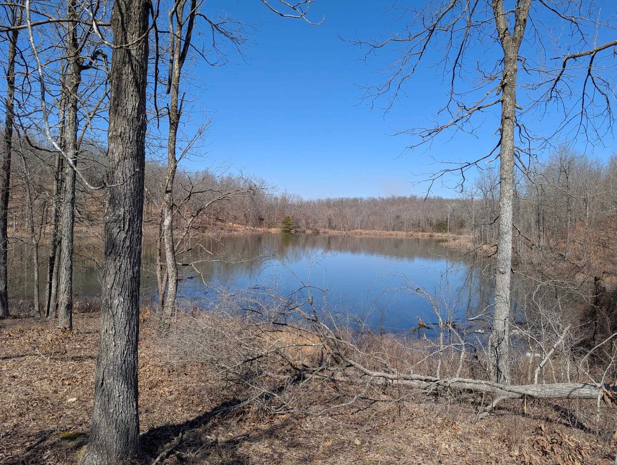 5642 Oak Ridge Road Ravenden Springs, AR 72460