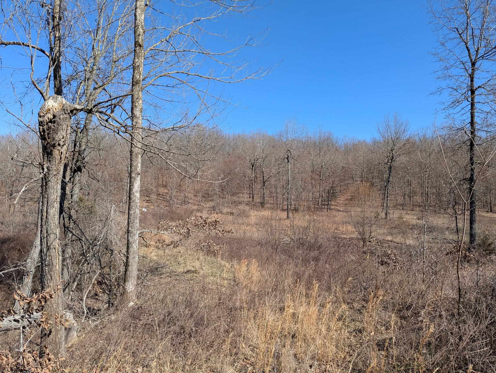 5642 Oak Ridge Road Ravenden Springs, AR 72460