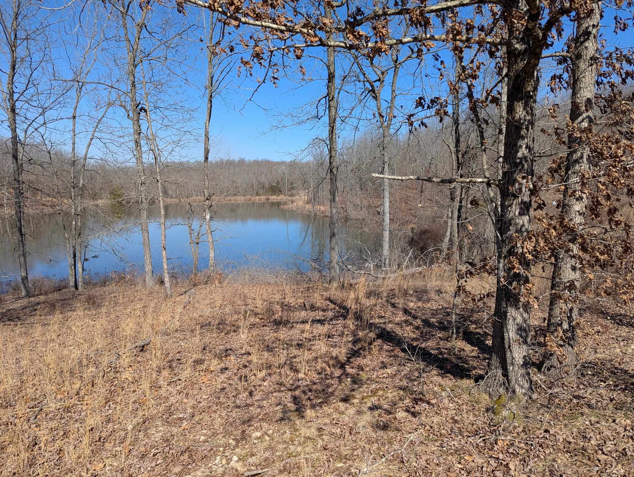 5642 Oak Ridge Road Ravenden Springs, AR 72460