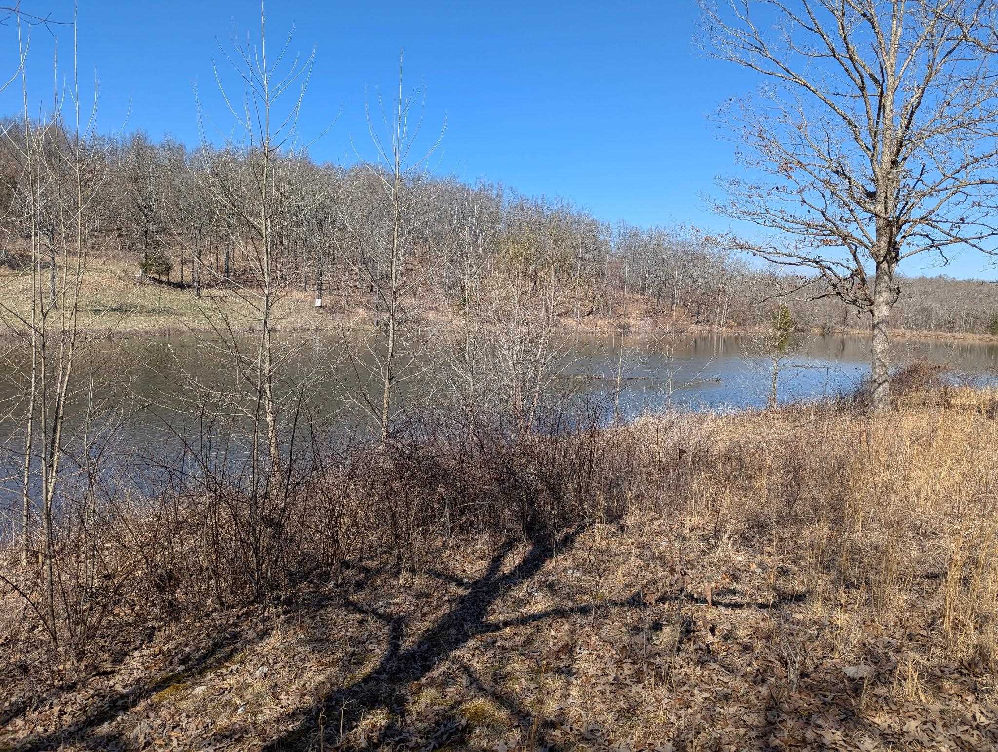 5642 Oak Ridge Road Ravenden Springs, AR 72460