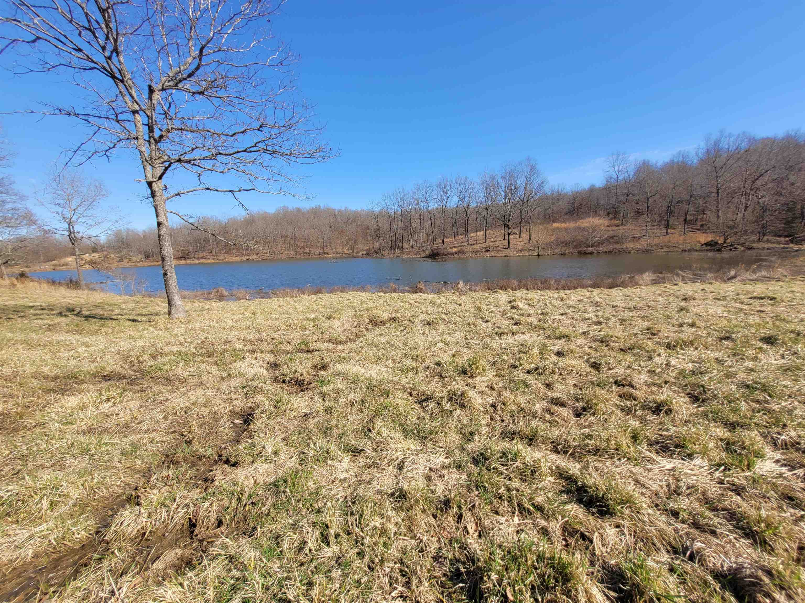 5642 Oak Ridge Road Ravenden Springs, AR 72460