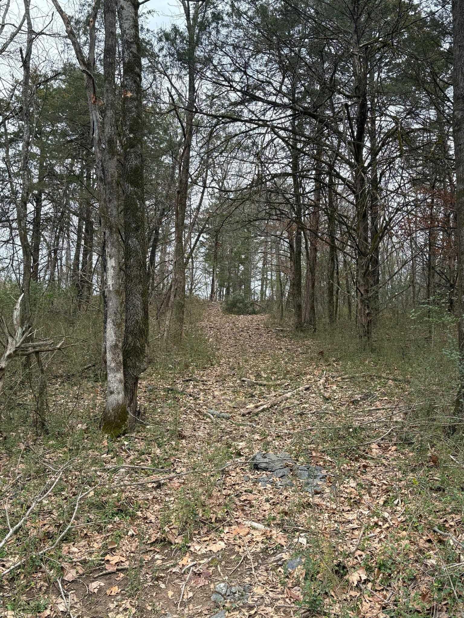 Unk  Deer Park Lane  Mena, AR