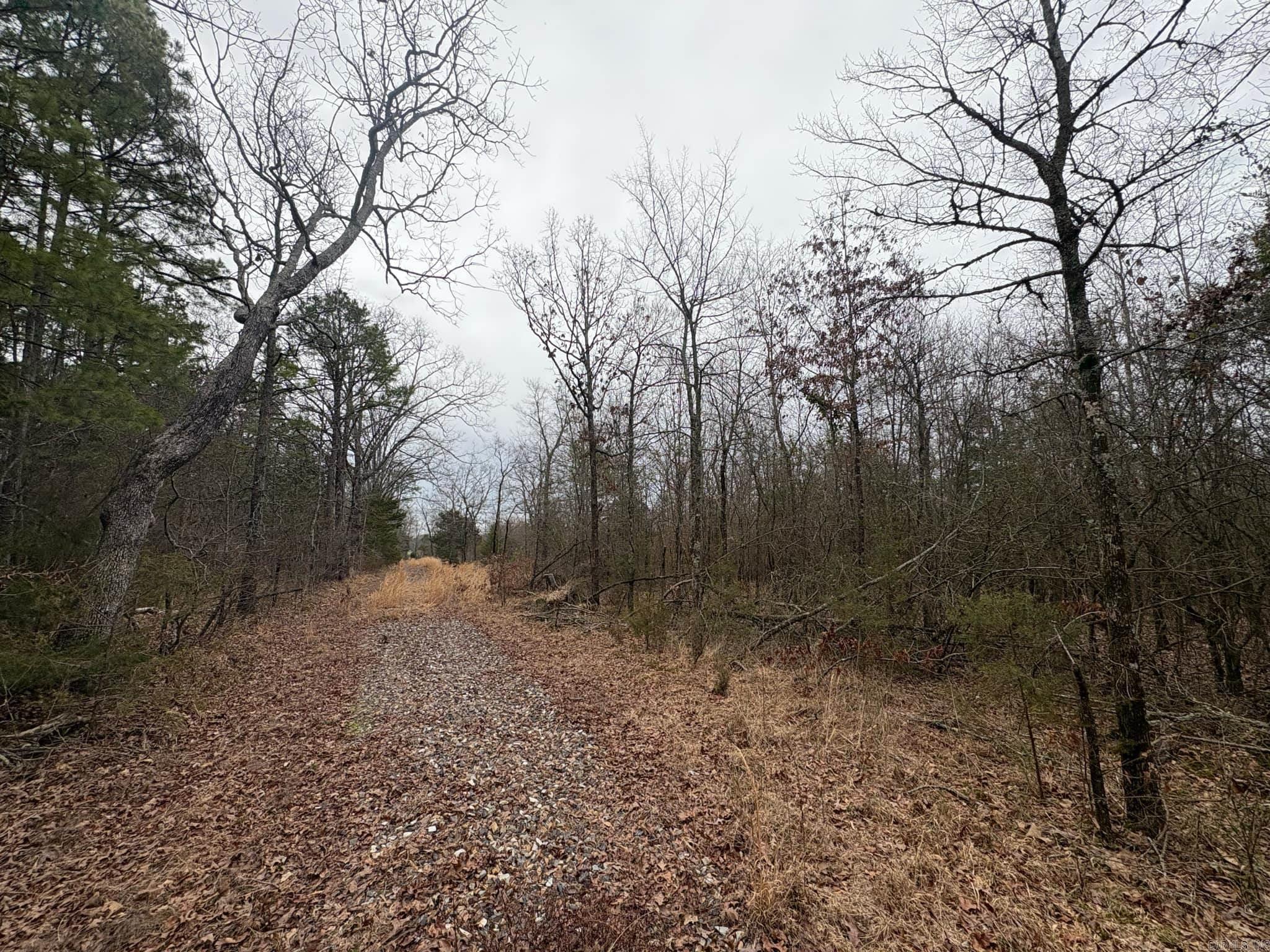 Unk  Deer Park Lane  Mena, AR