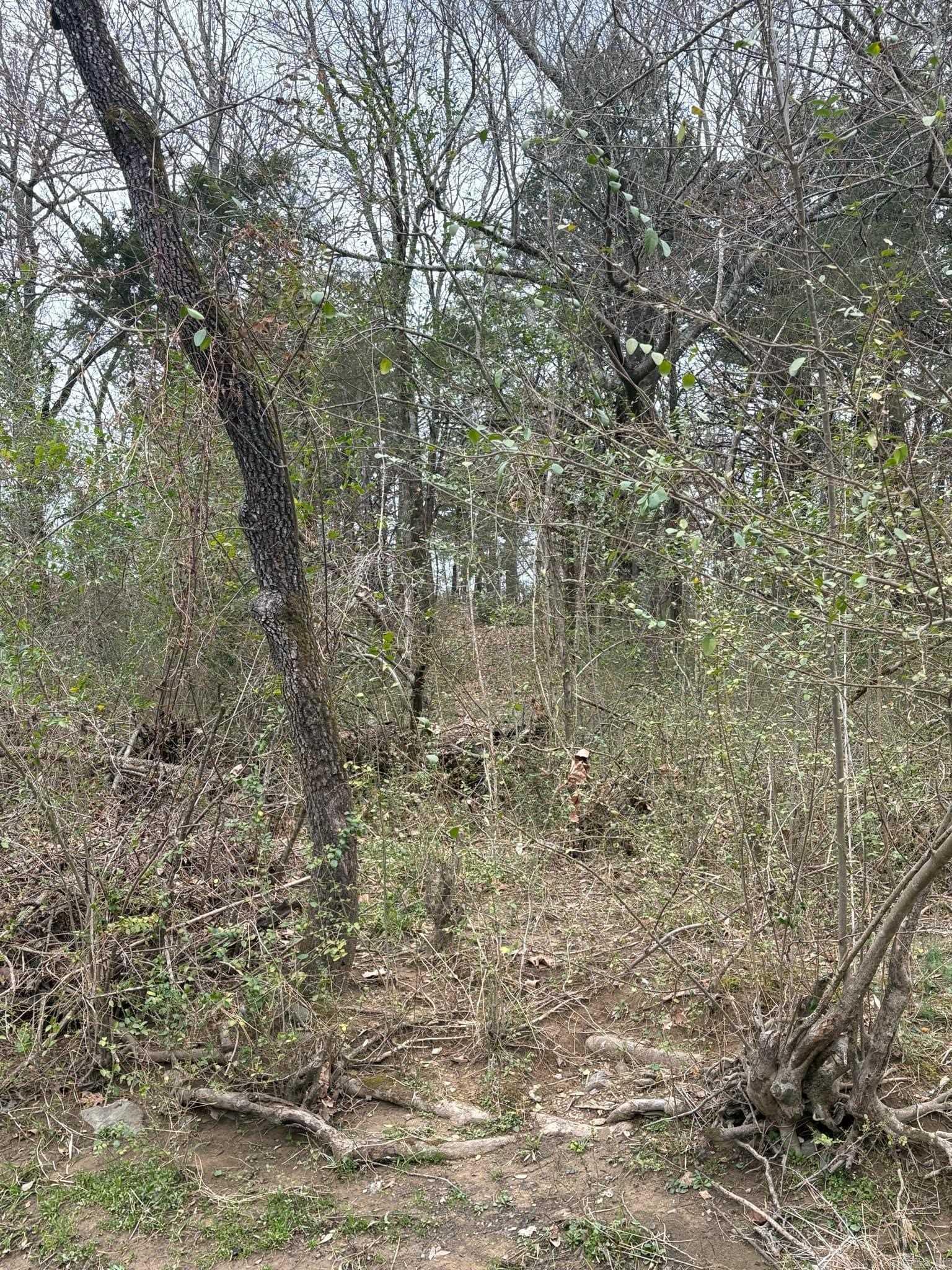 Unk  Deer Park Lane  Mena, AR