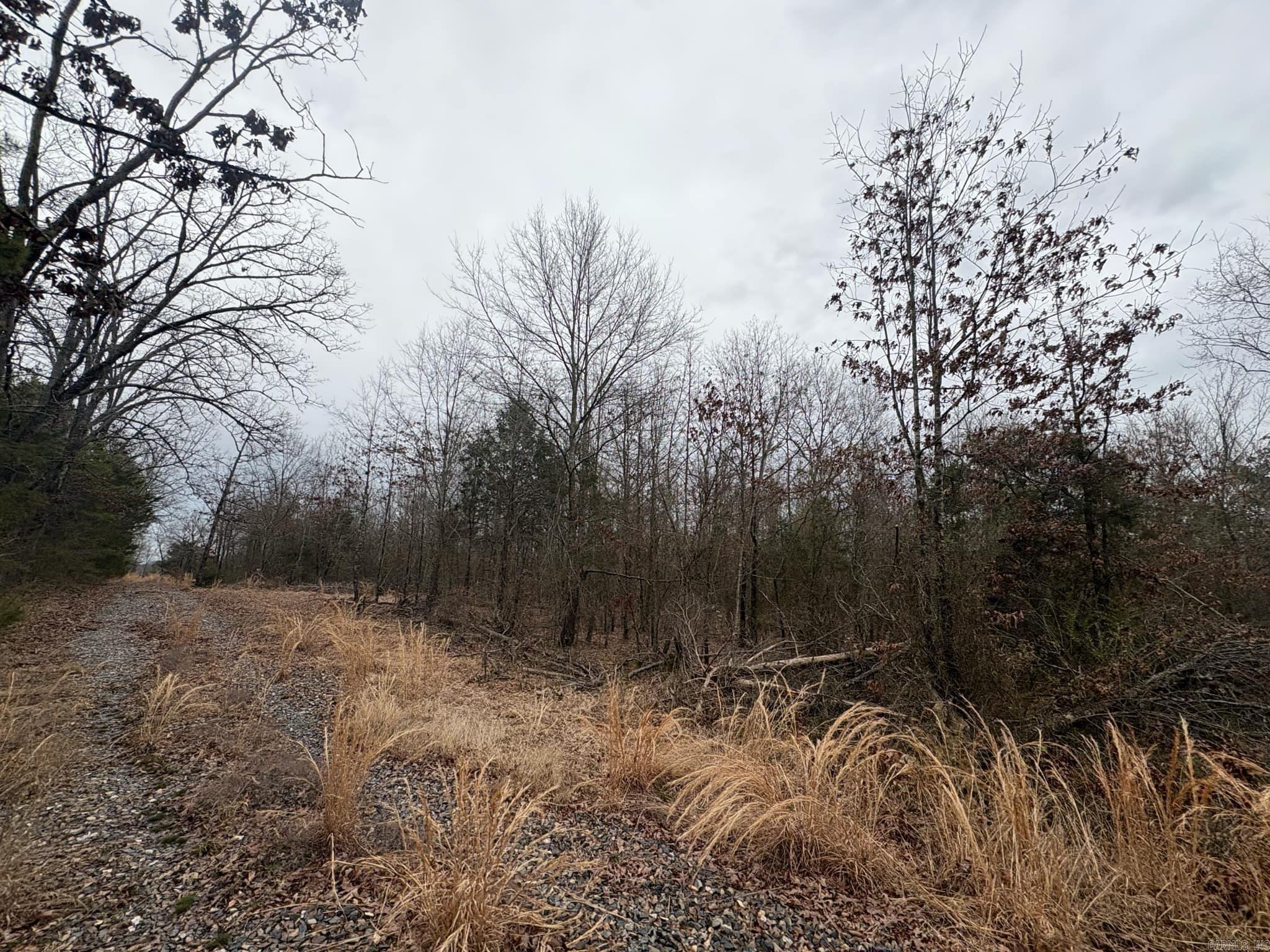 Unk  Deer Park Lane  Mena, AR