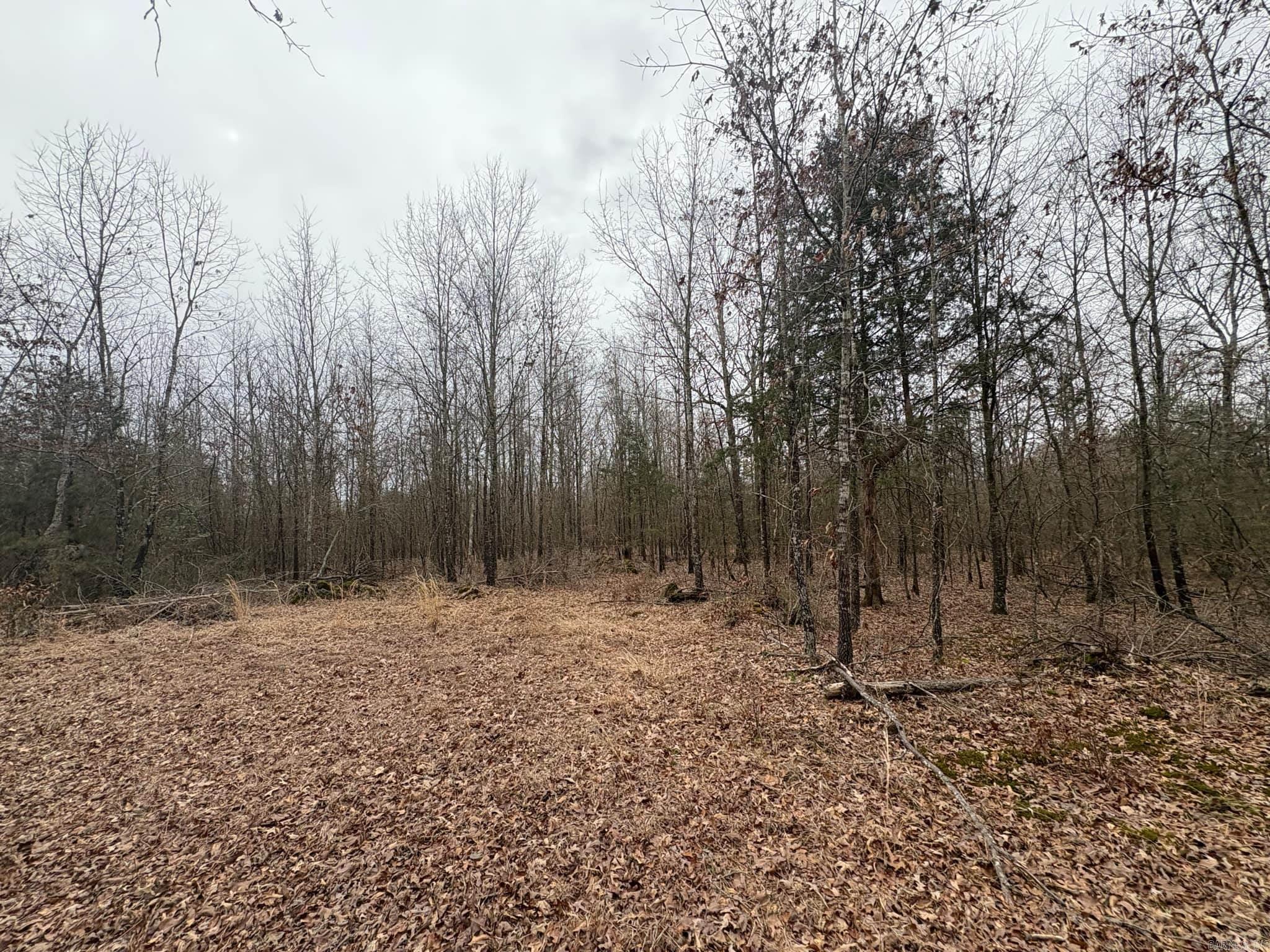 Unk  Deer Park Lane  Mena, AR