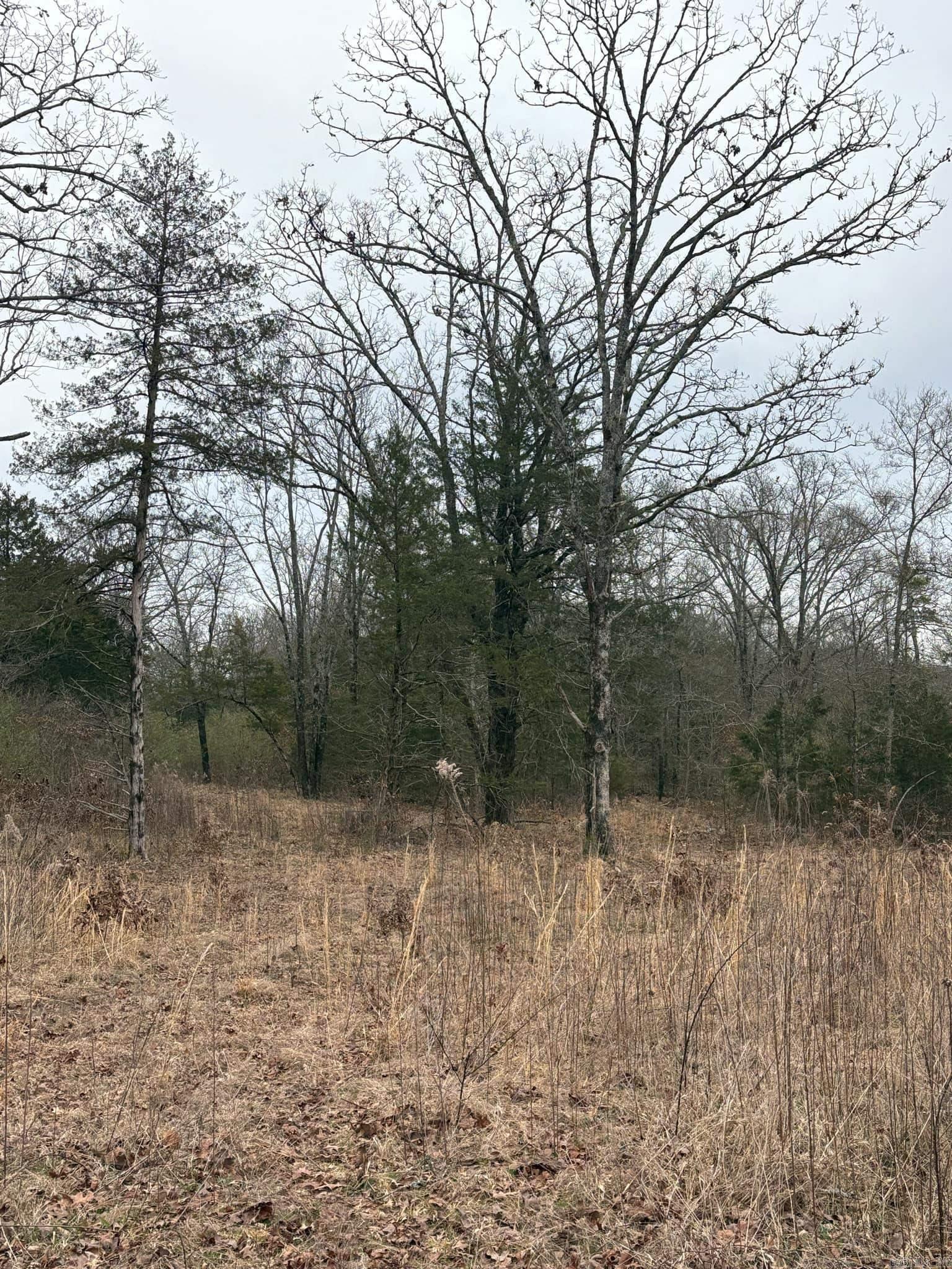 Unk  Deer Park Lane  Mena, AR