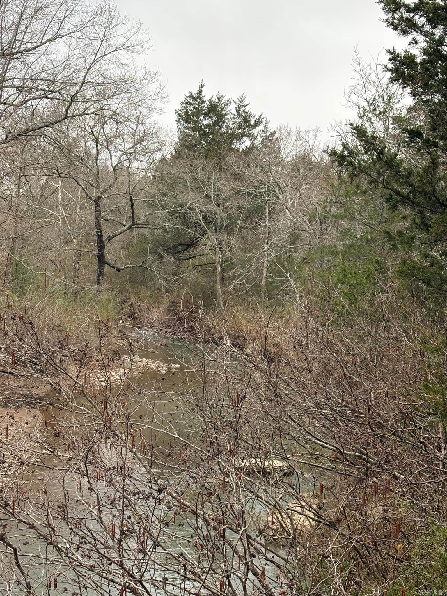 Unk  Deer Park Lane  Mena, AR