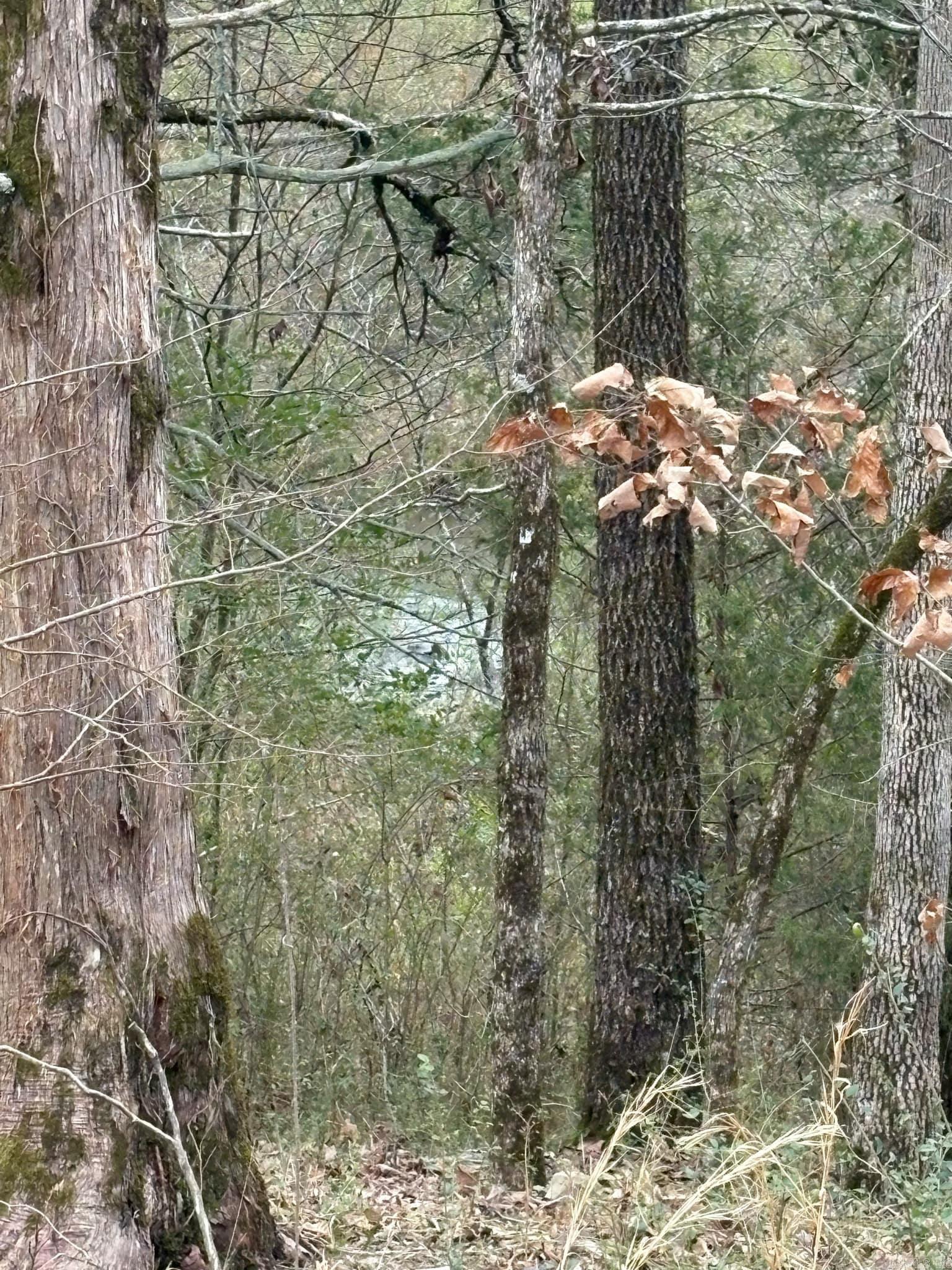 Unk  Deer Park Lane  Mena, AR