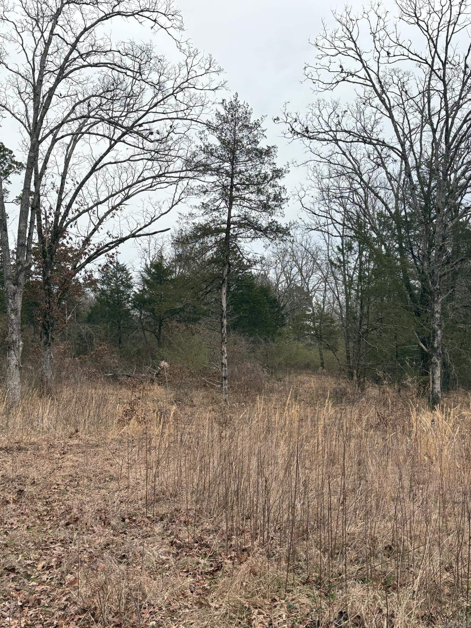 Unk  Deer Park Lane  Mena, AR