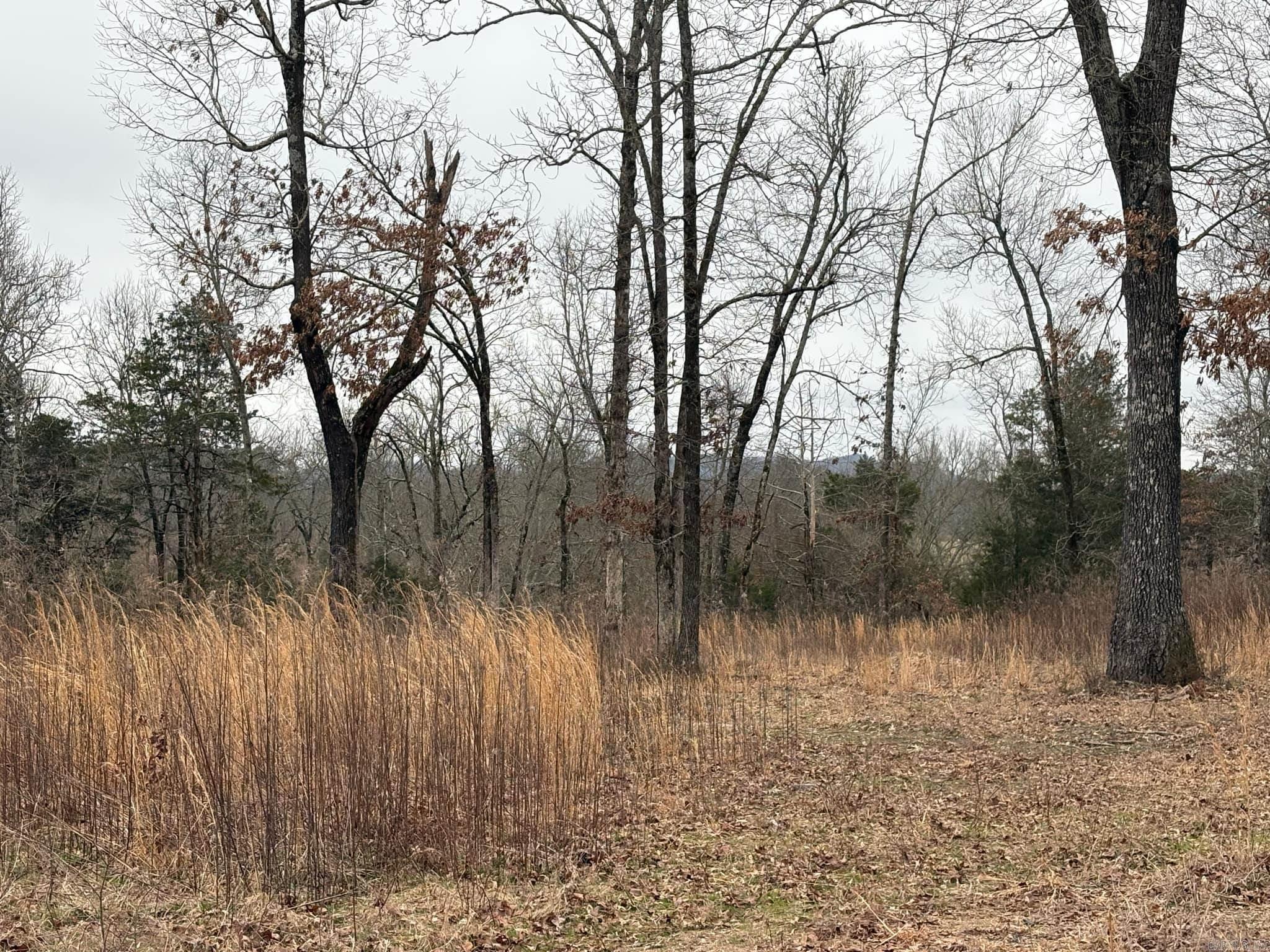 Unk  Deer Park Lane  Mena, AR
