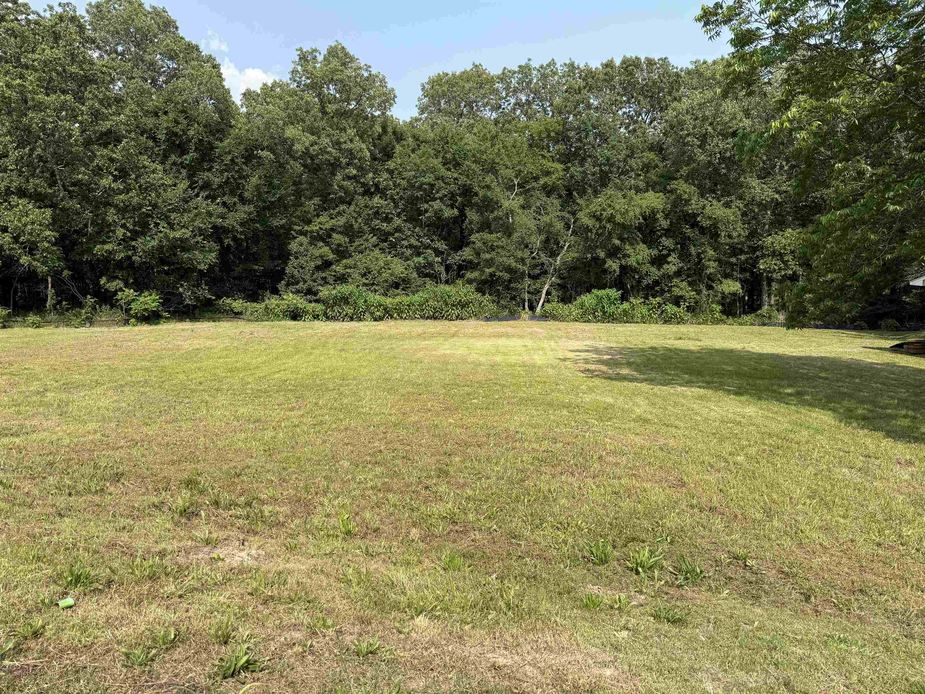 35-B  Johnwood  Jonesboro, AR
