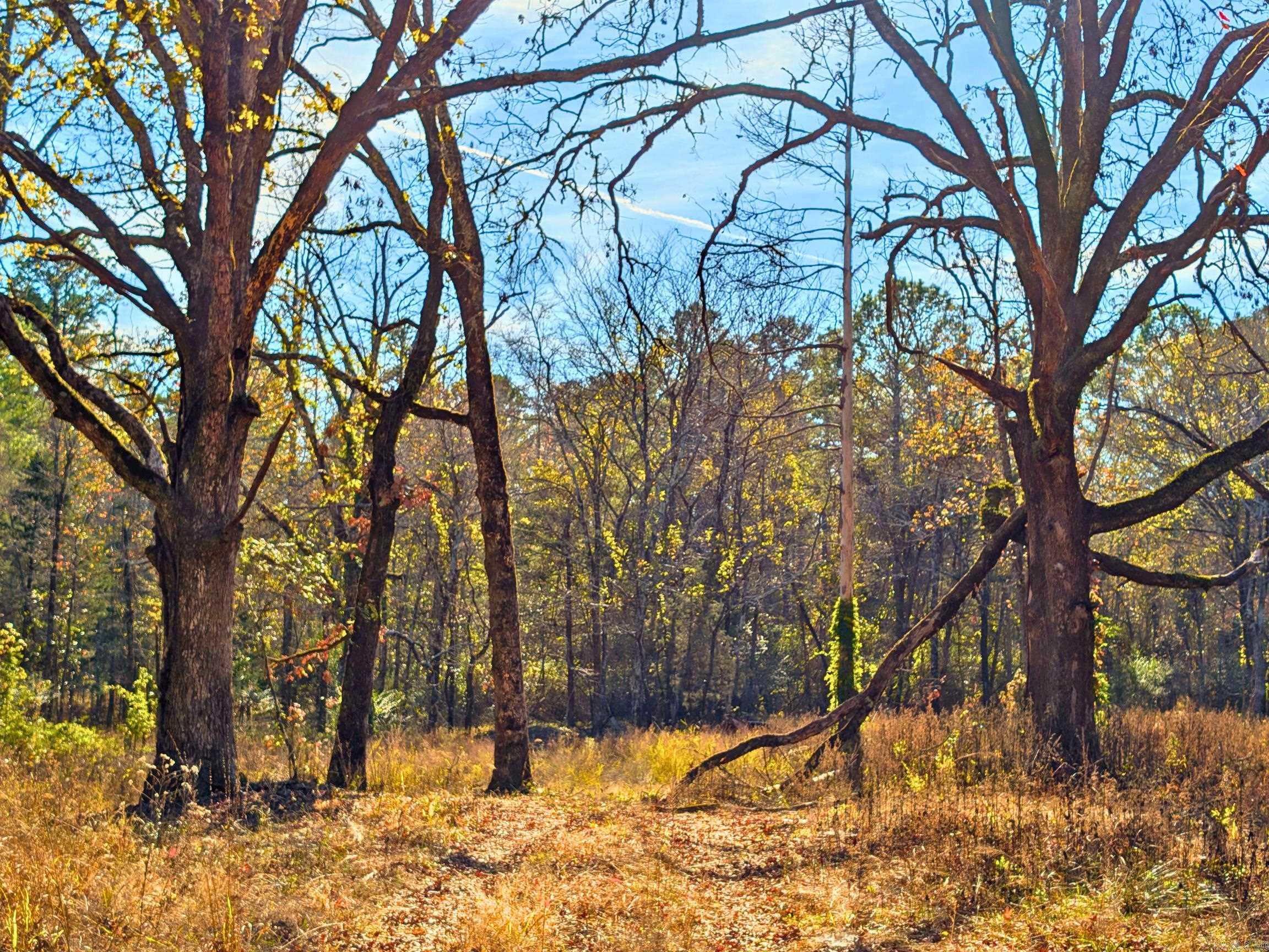 4206  HWY 298  Jessieville, AR
