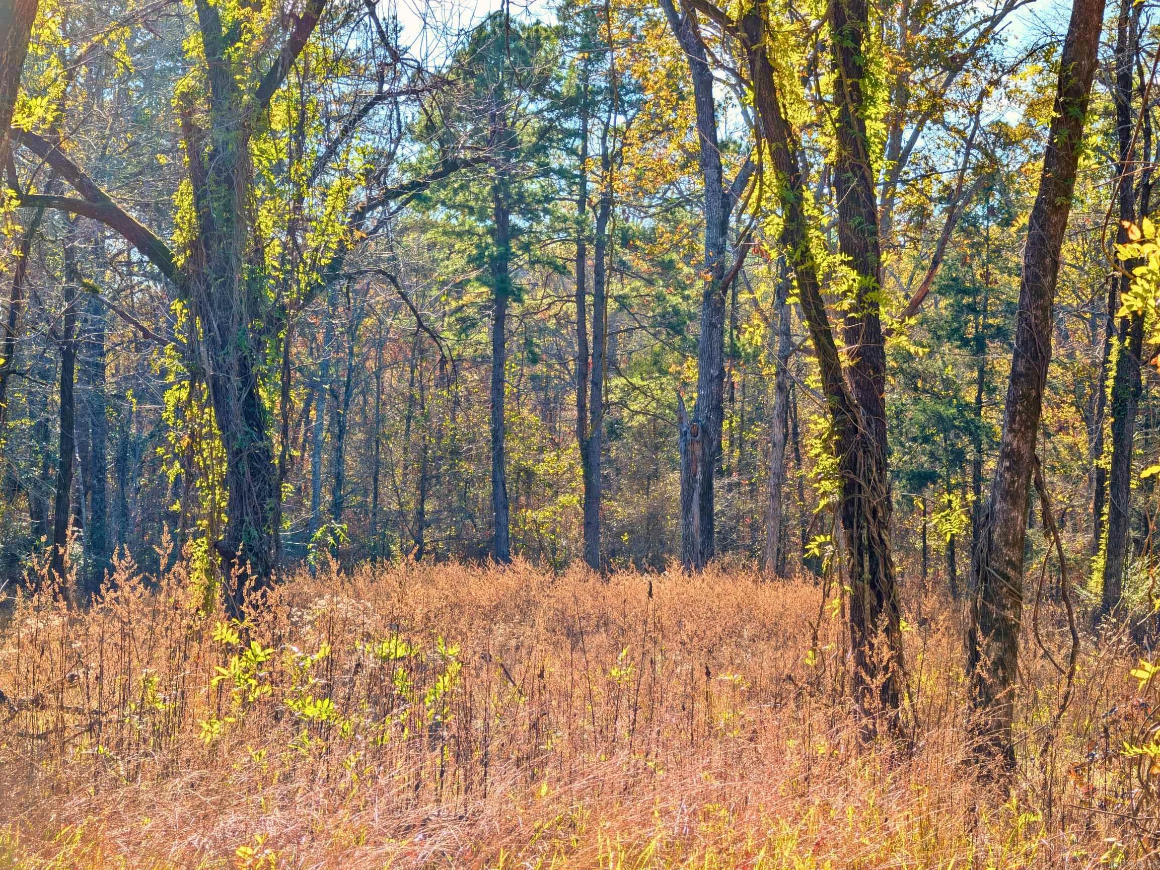 4206  HWY 298  Jessieville, AR