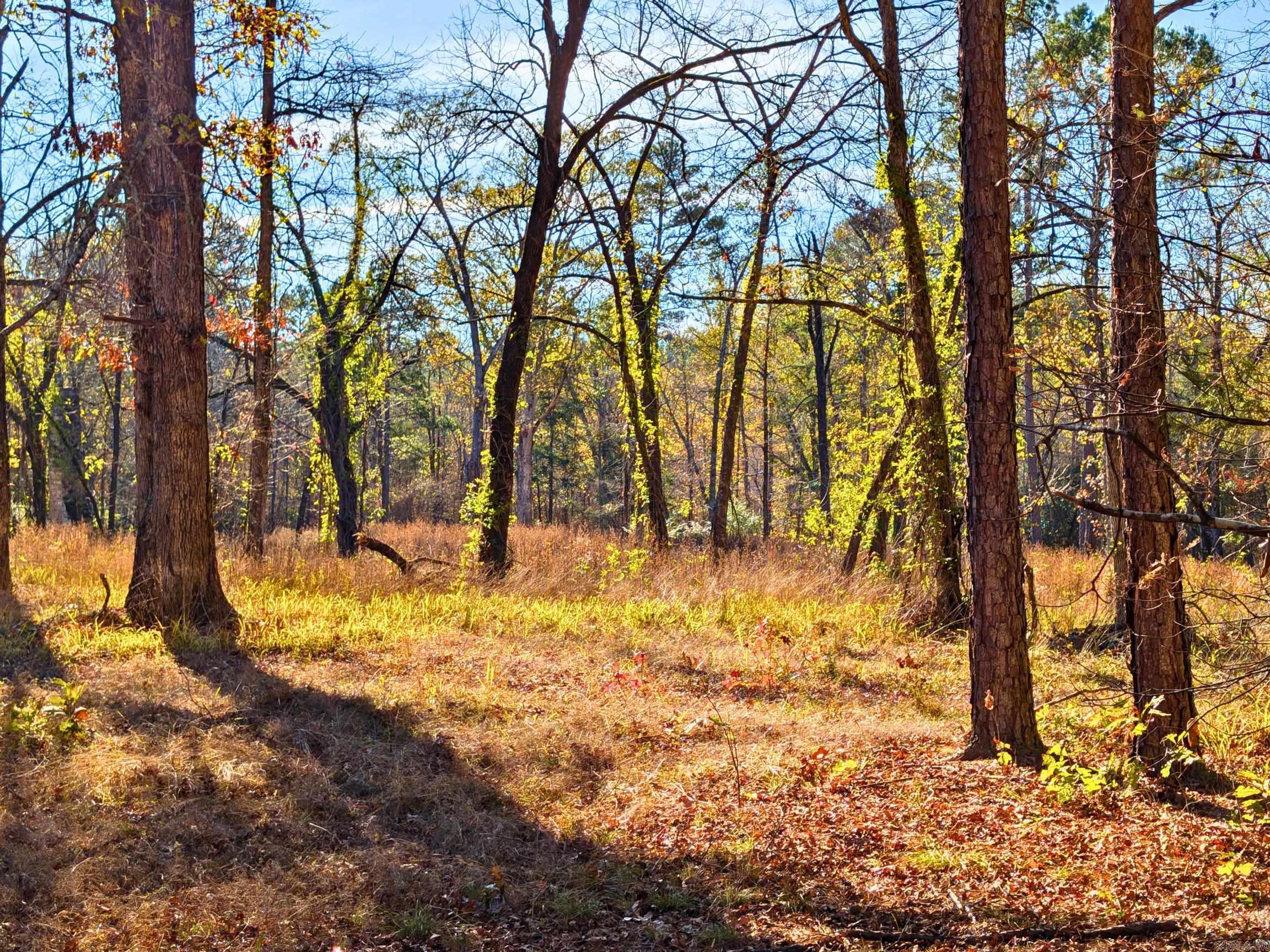 4206  HWY 298  Jessieville, AR