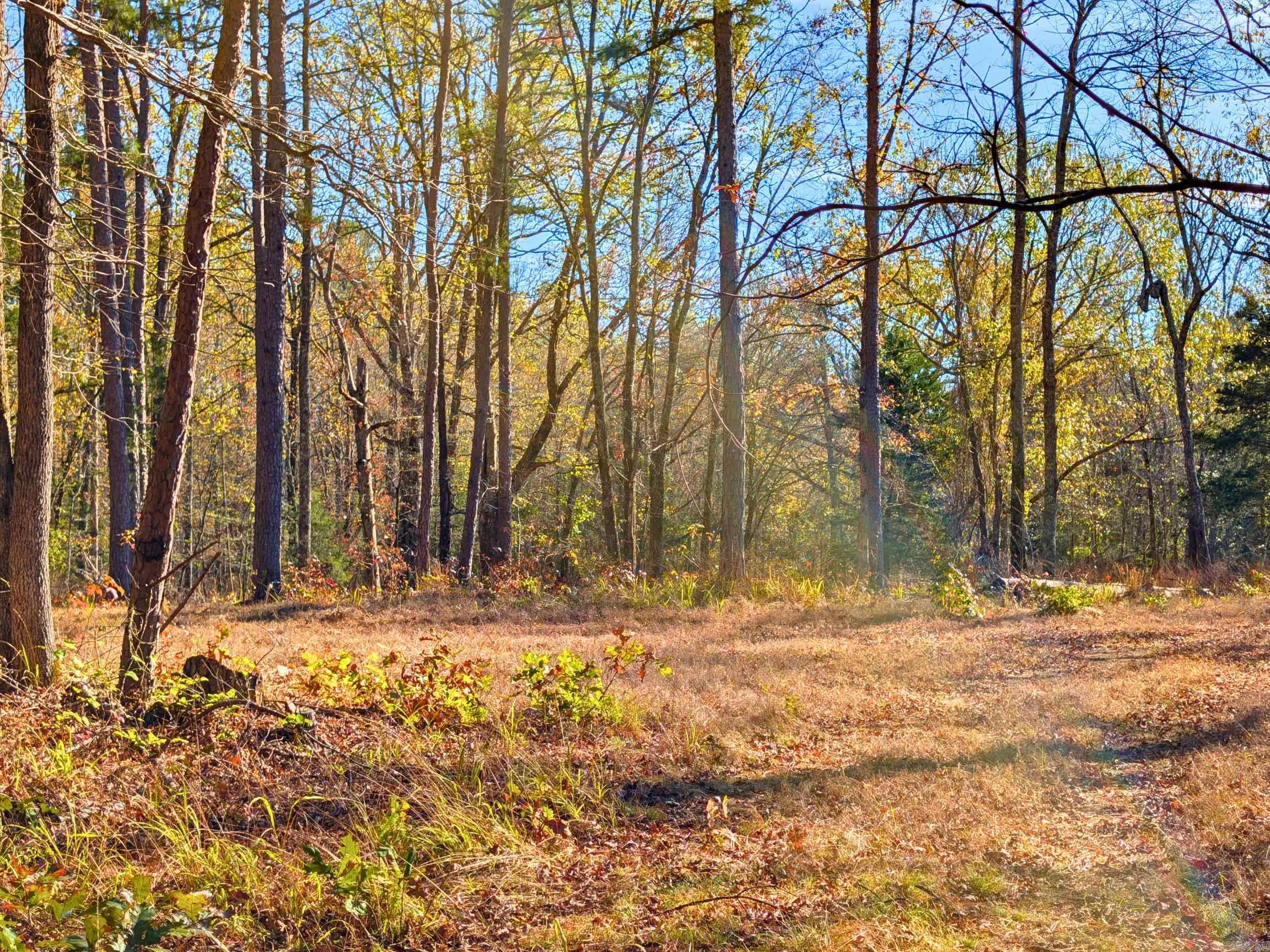 4206  HWY 298  Jessieville, AR