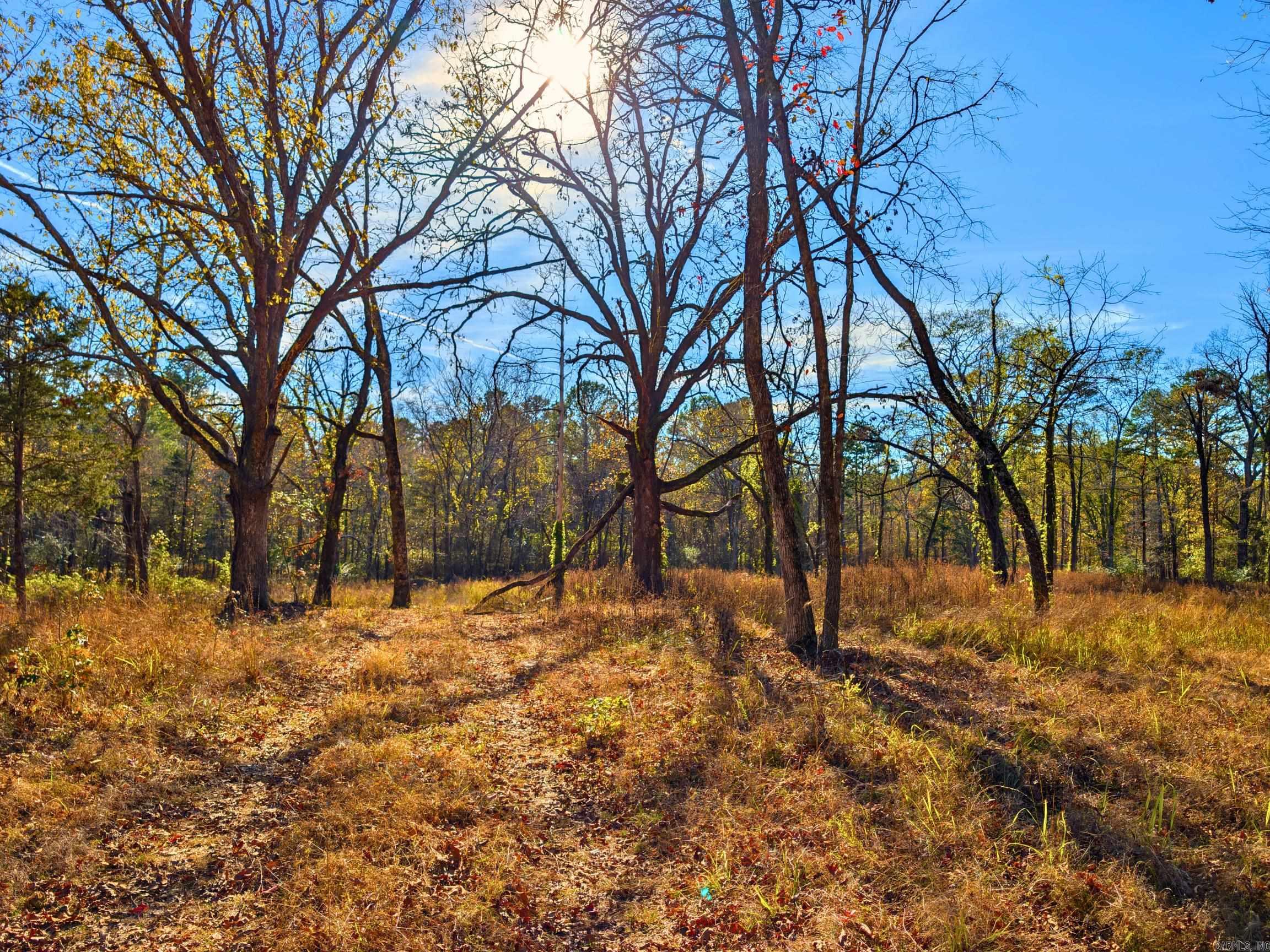 4206  HWY 298  Jessieville, AR
