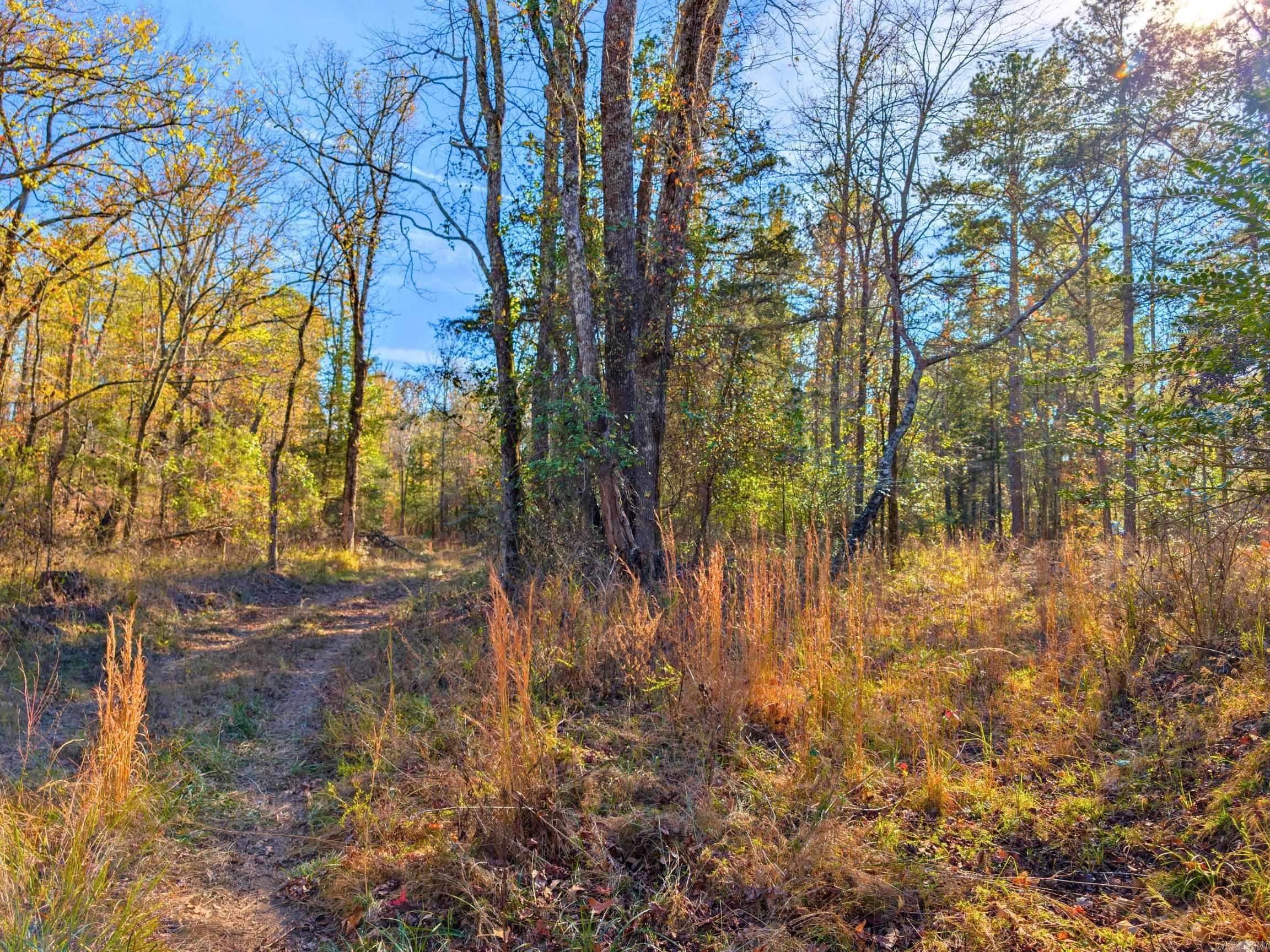 4206  HWY 298  Jessieville, AR