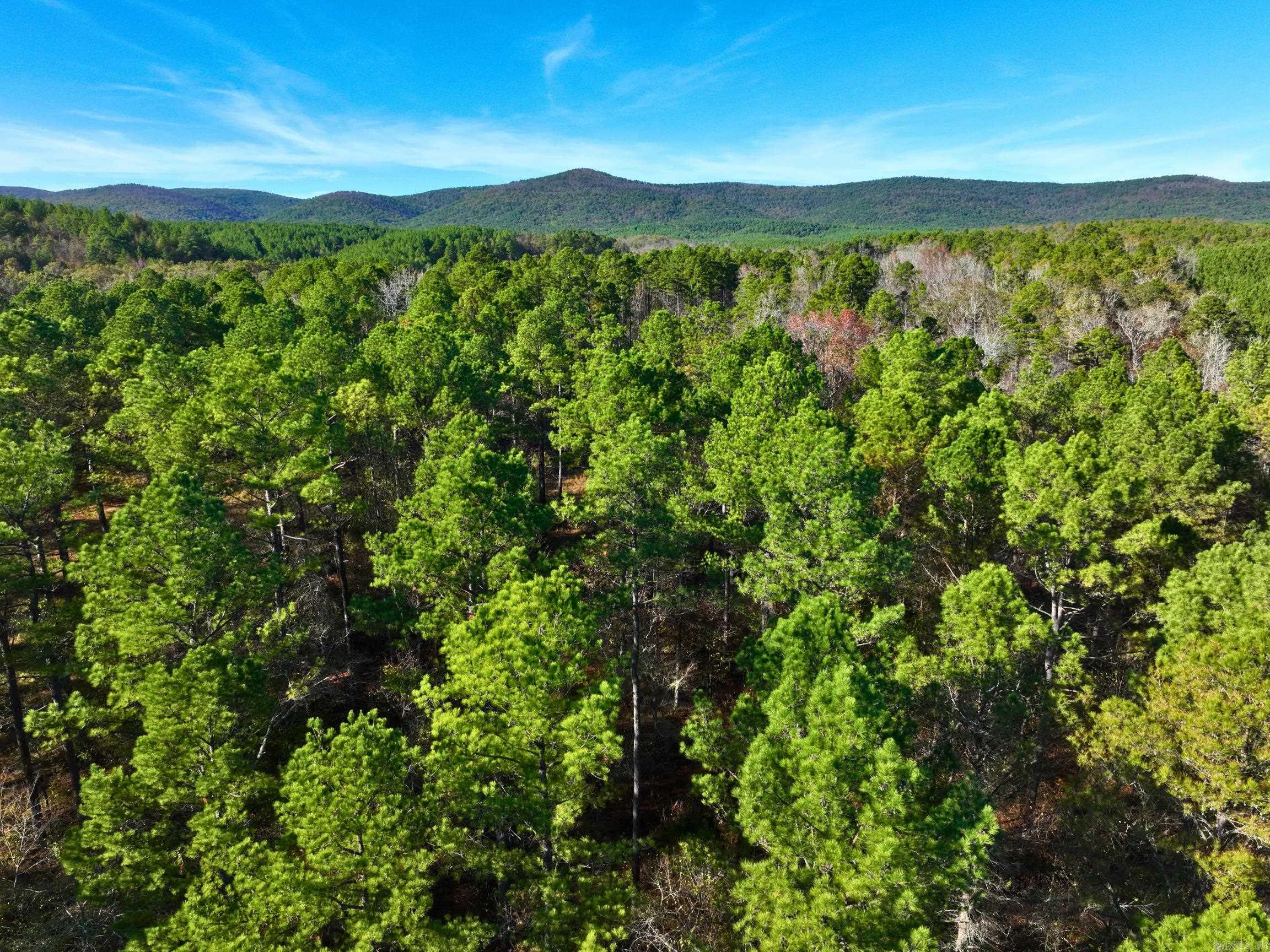 4206  HWY 298  Jessieville, AR