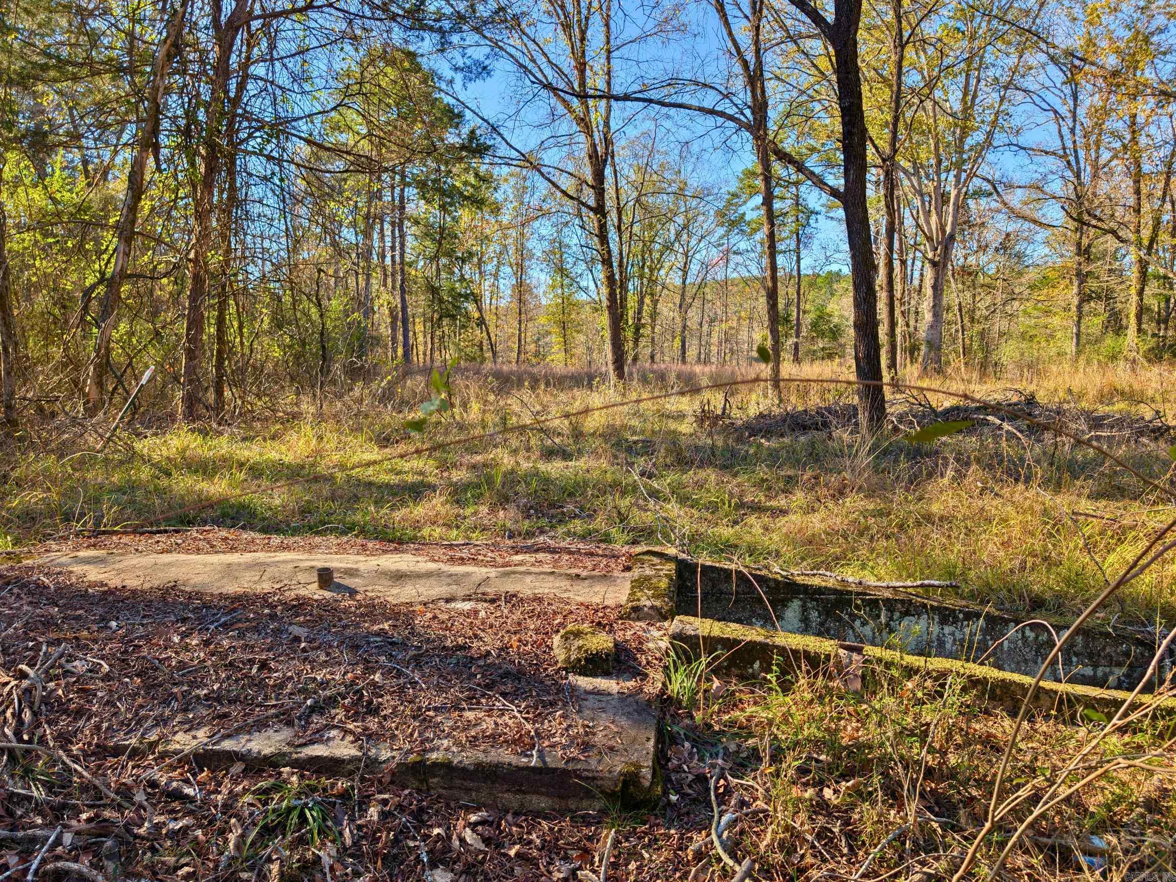 4206  HWY 298  Jessieville, AR