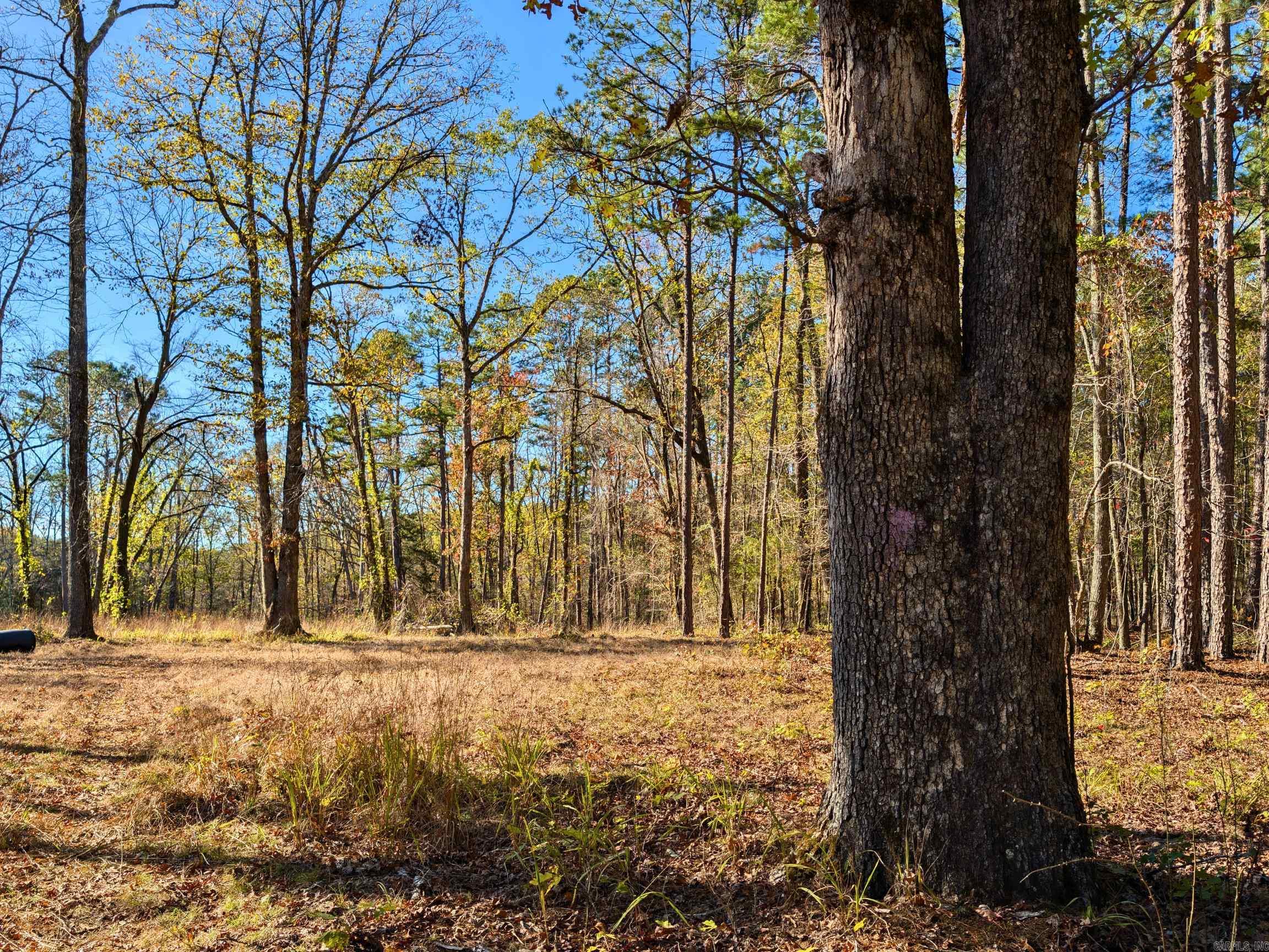 4206  HWY 298  Jessieville, AR