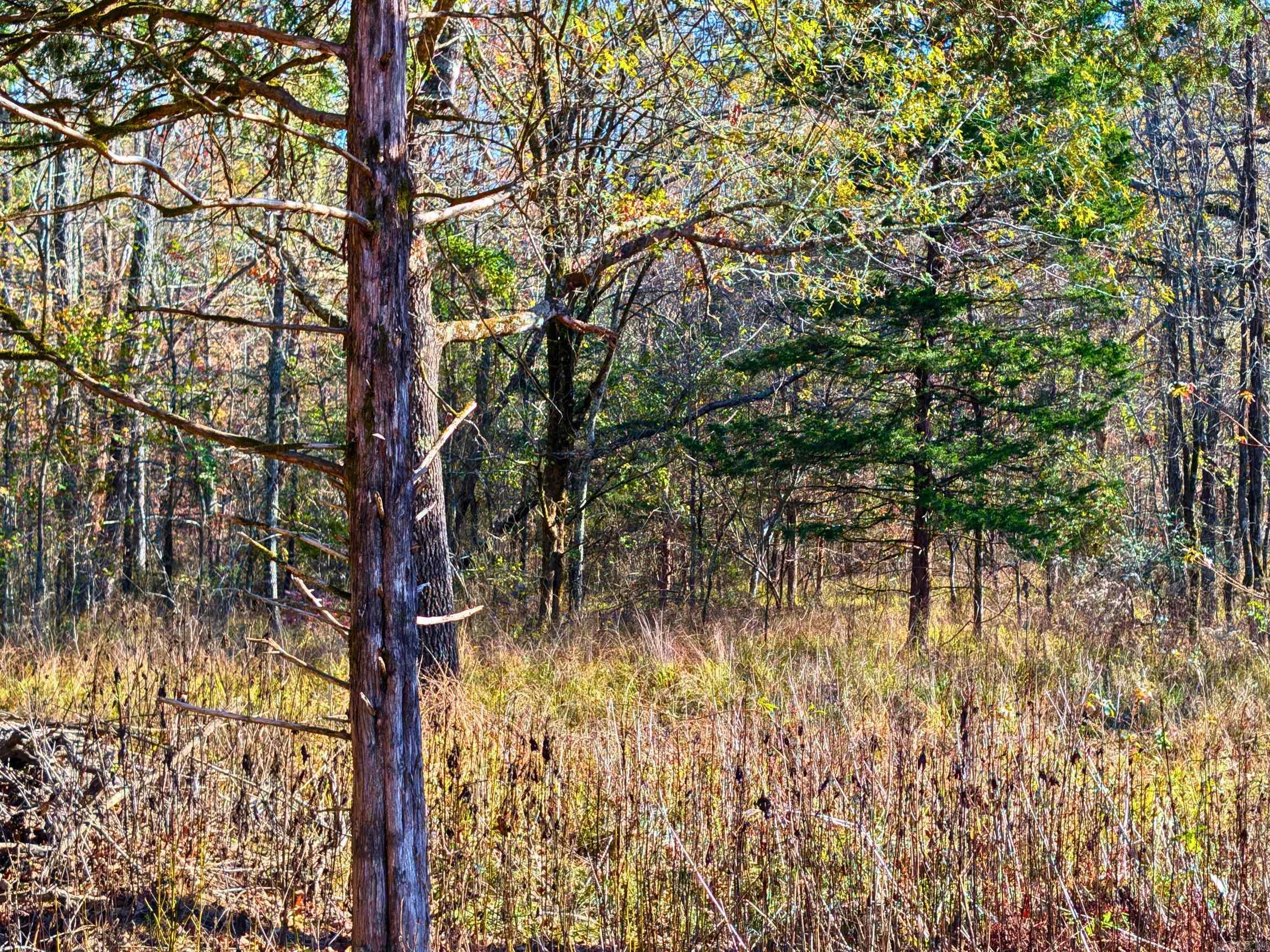 4206  HWY 298  Jessieville, AR