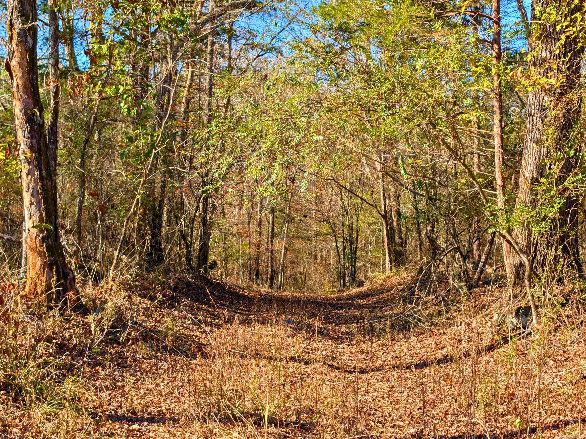 4206  HWY 298  Jessieville, AR