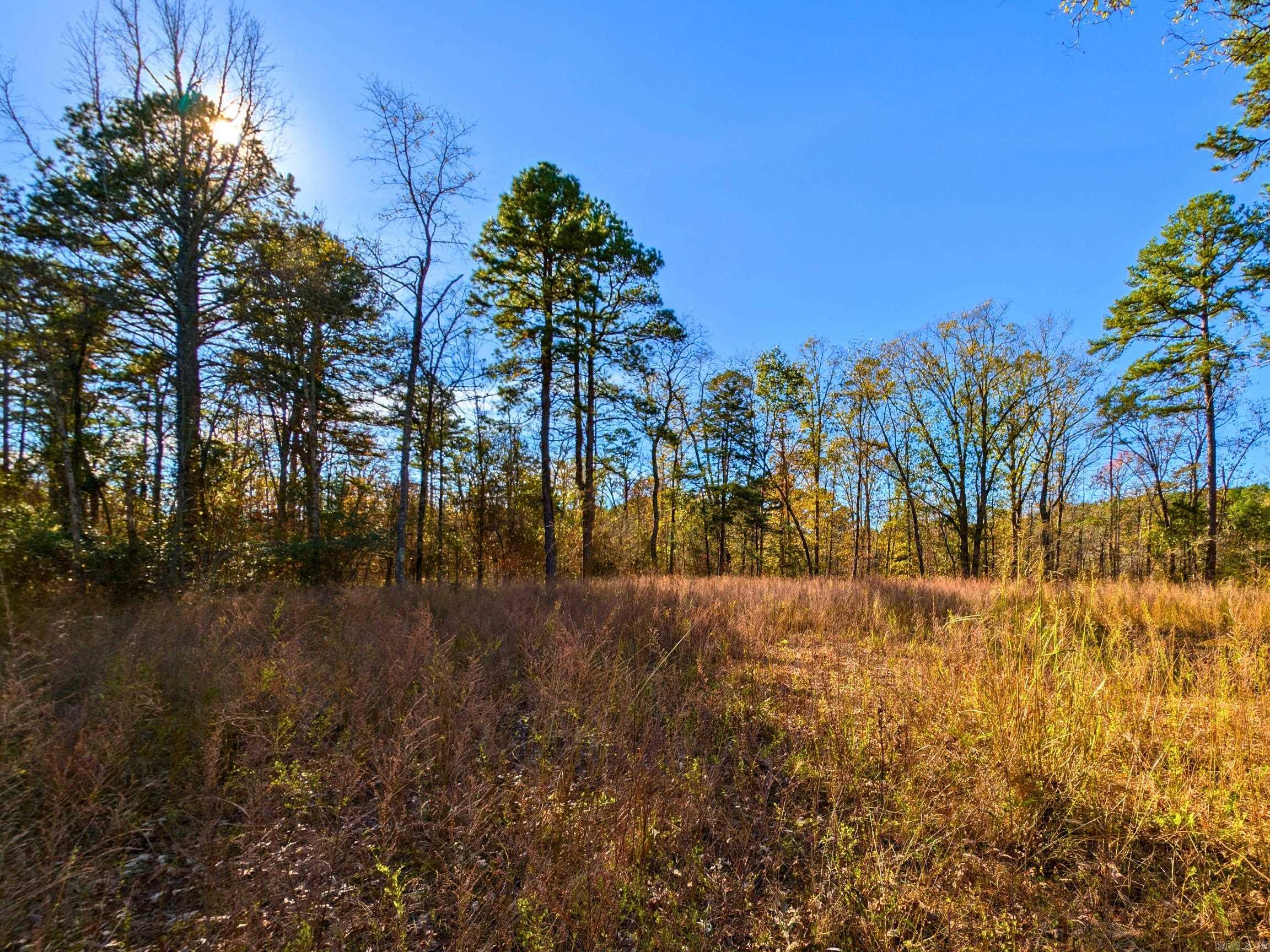 4206  HWY 298  Jessieville, AR