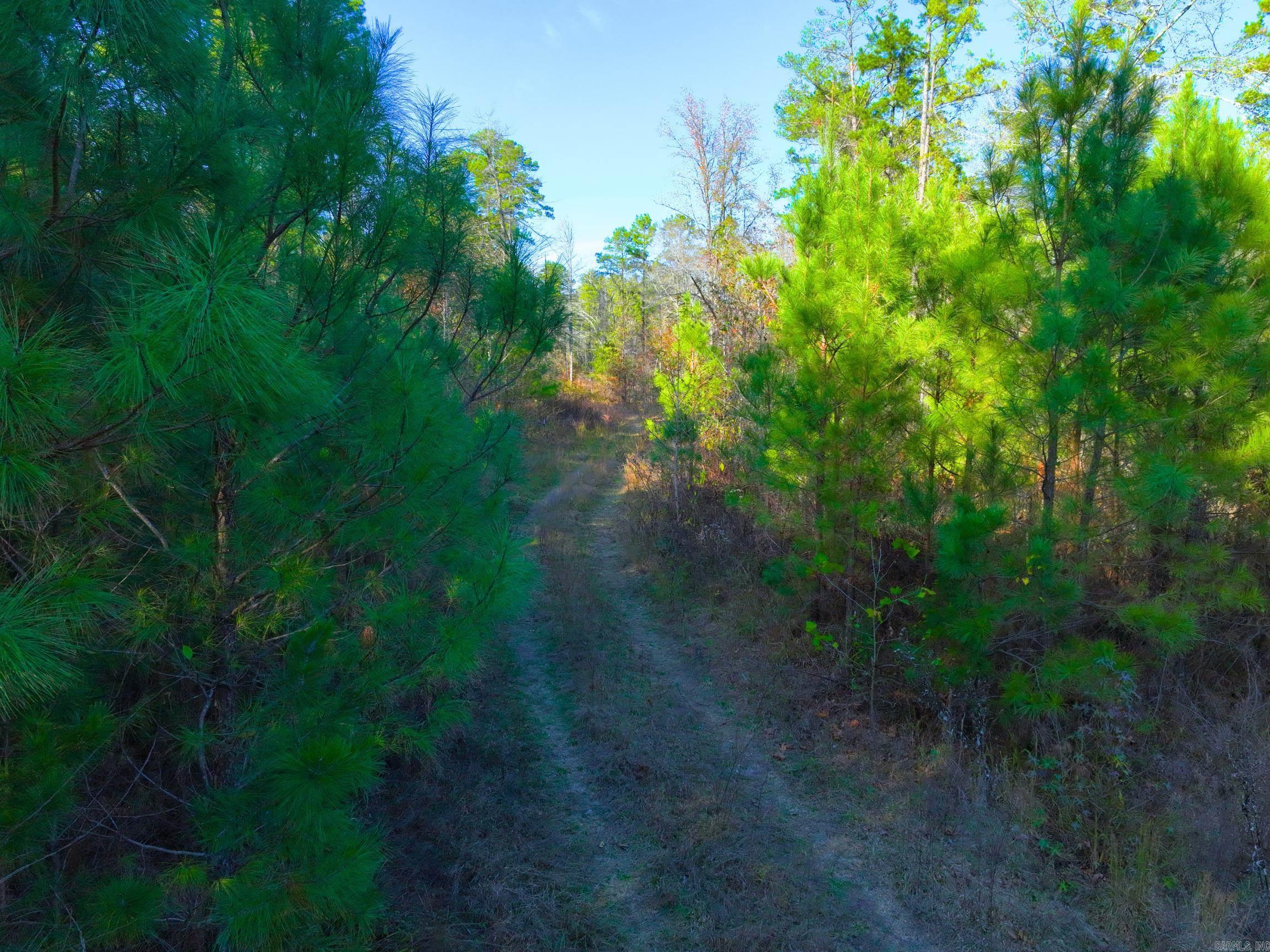 4206  HWY 298  Jessieville, AR