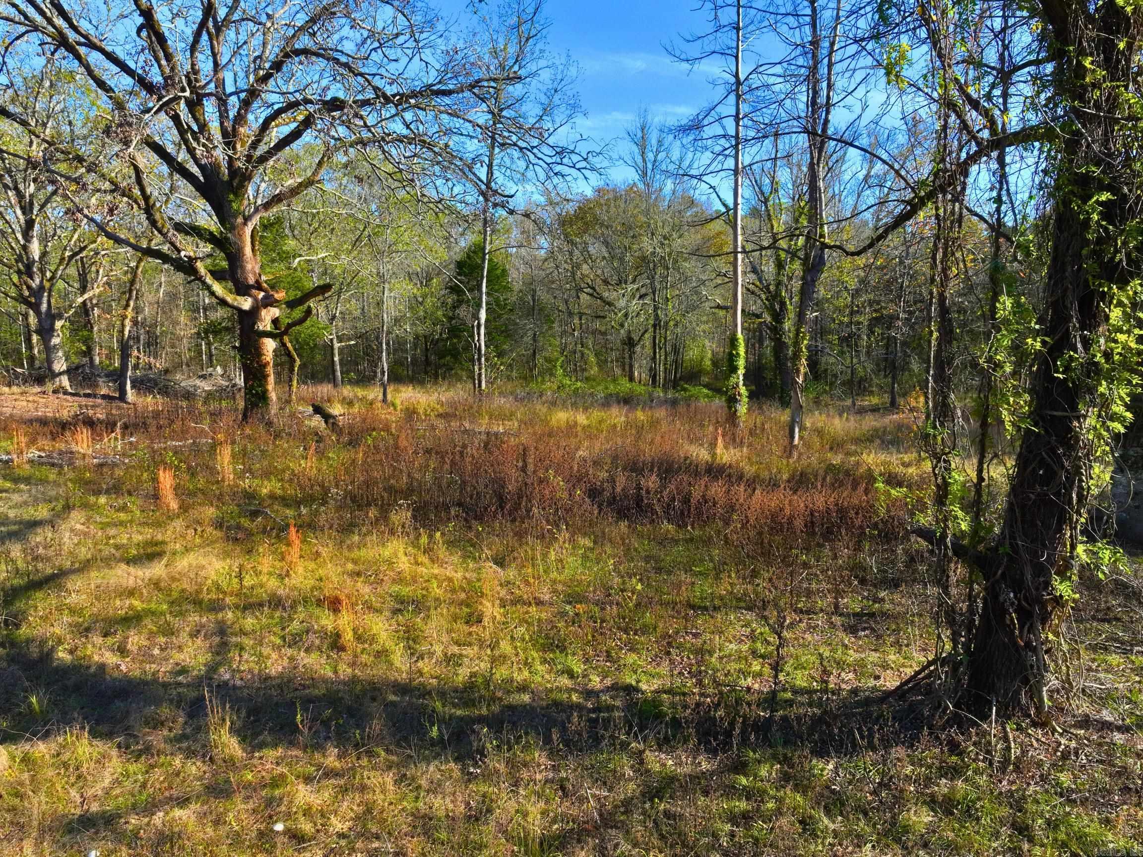 4206  HWY 298  Jessieville, AR