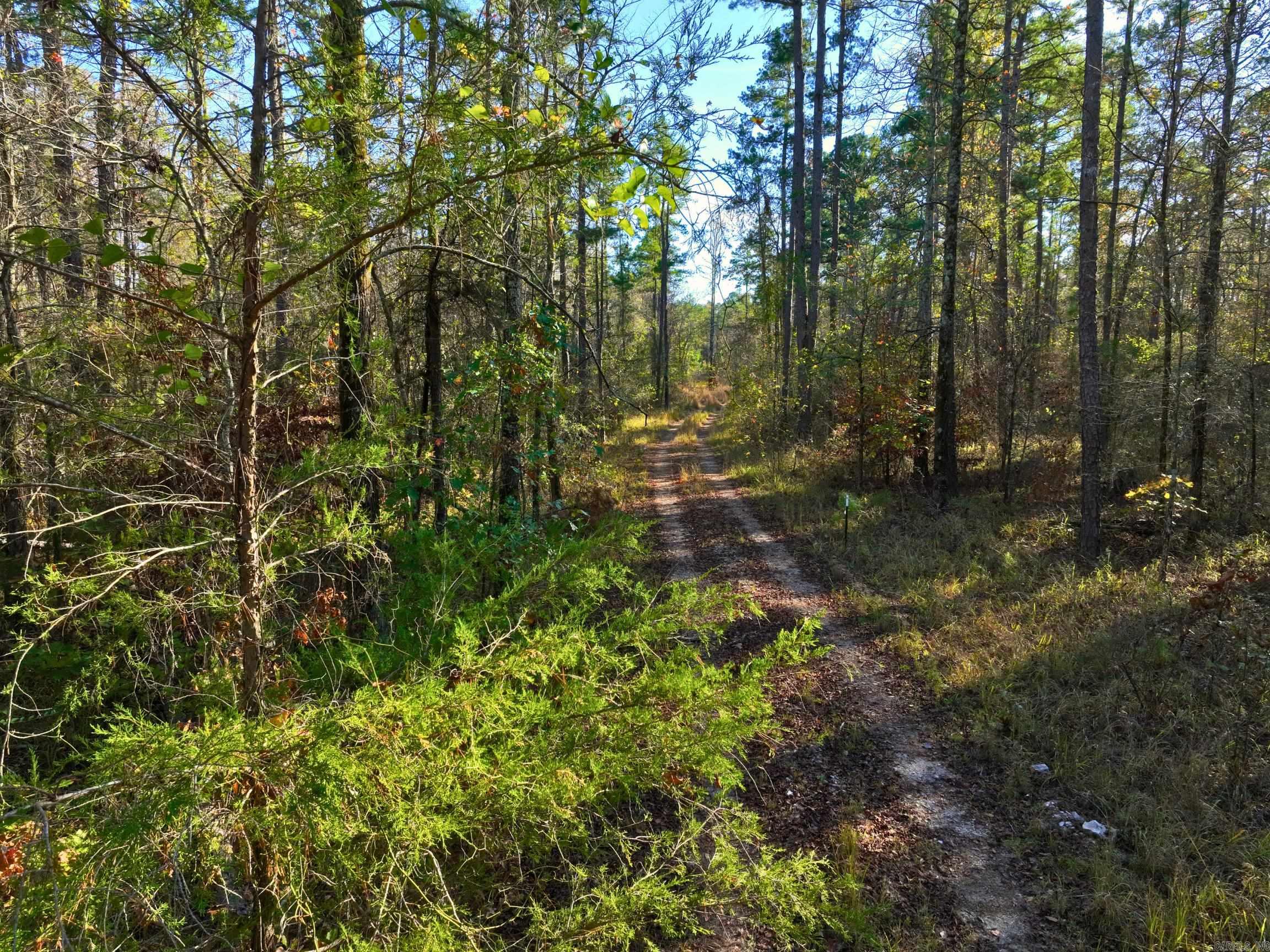 4206  HWY 298  Jessieville, AR
