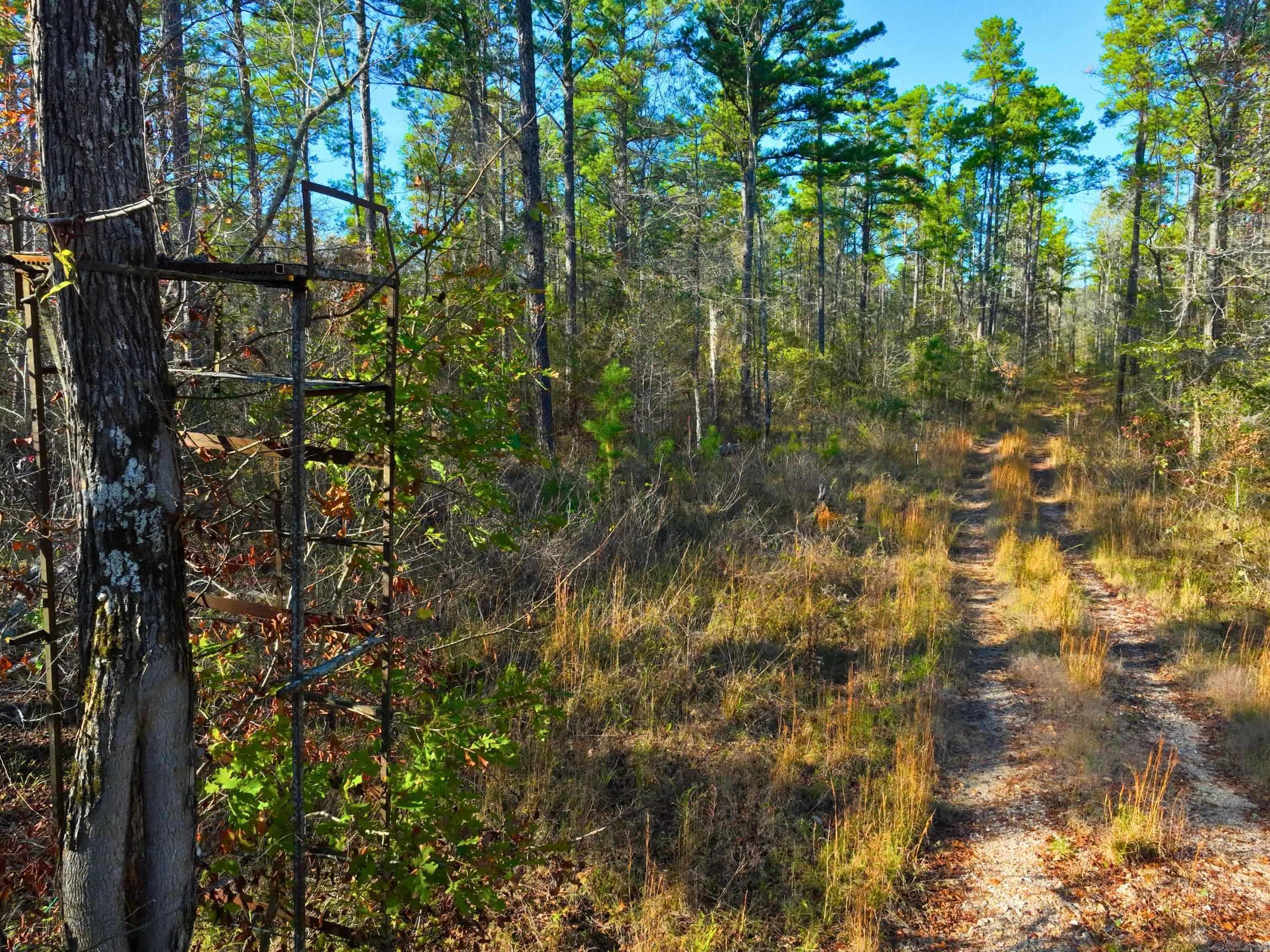 4206  HWY 298  Jessieville, AR