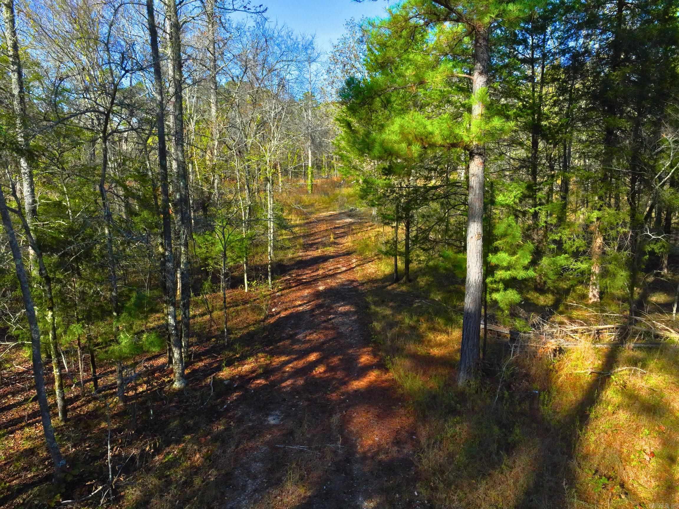 4206  HWY 298  Jessieville, AR