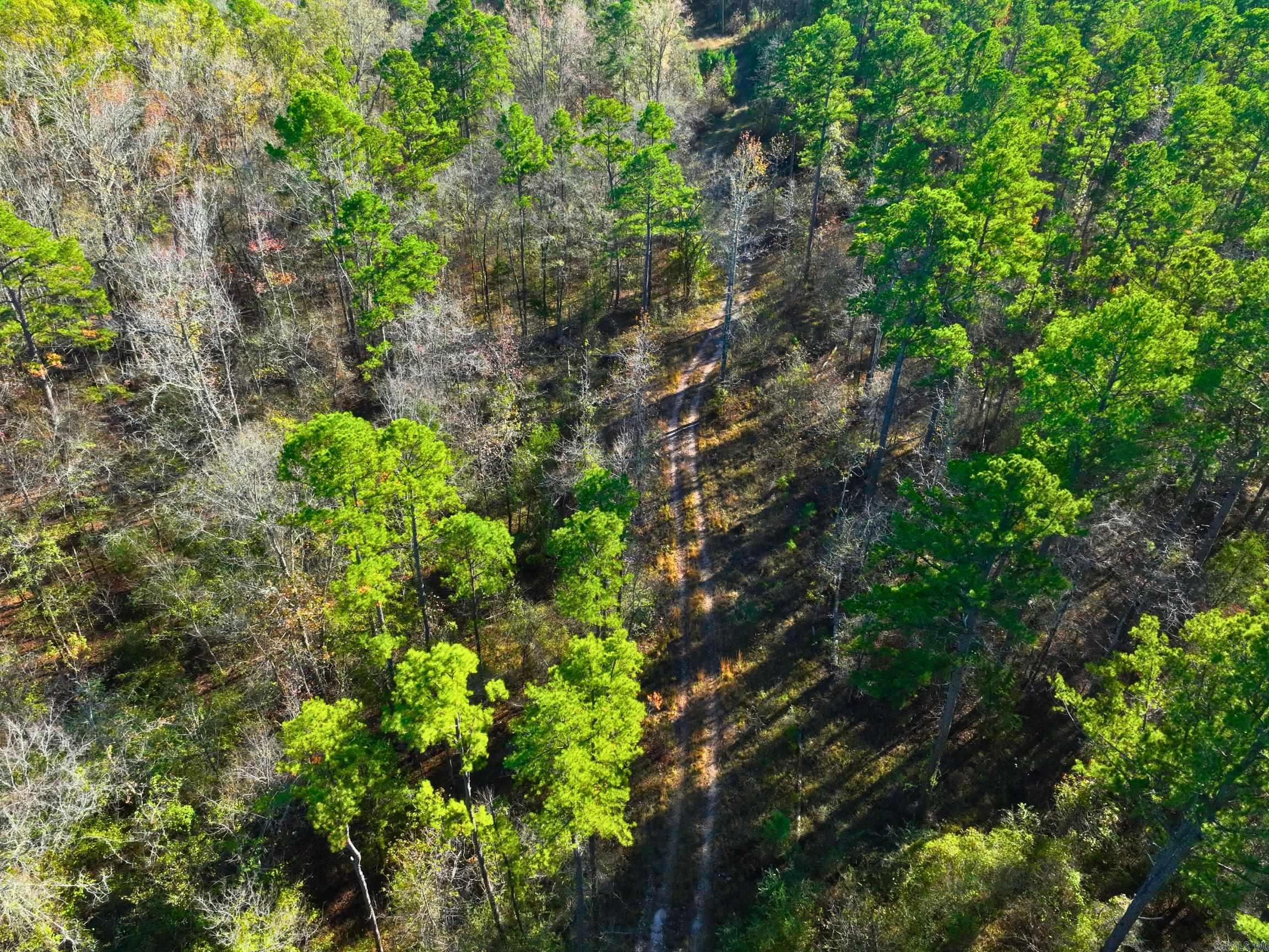 4206  HWY 298  Jessieville, AR