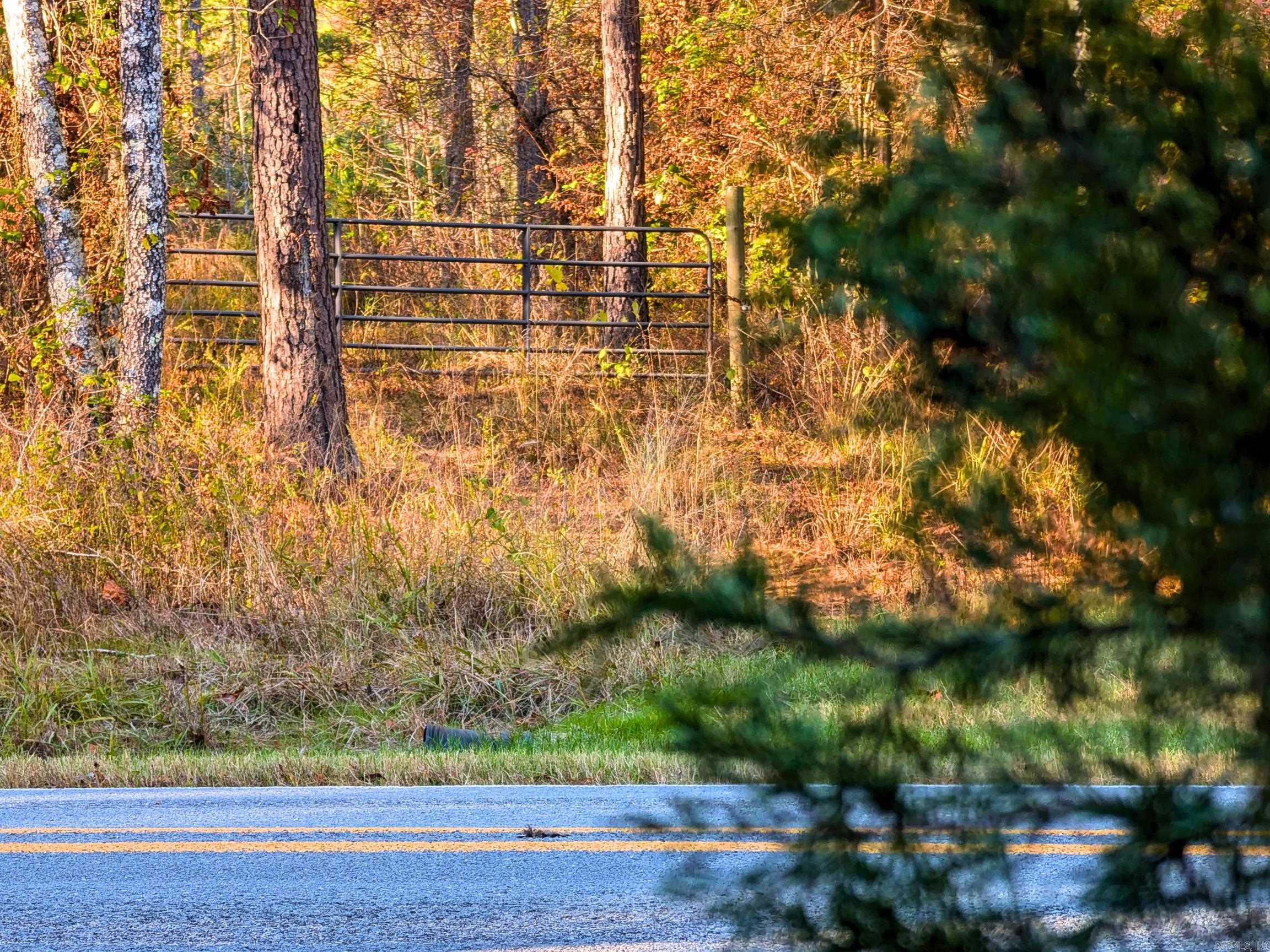 4206  HWY 298  Jessieville, AR