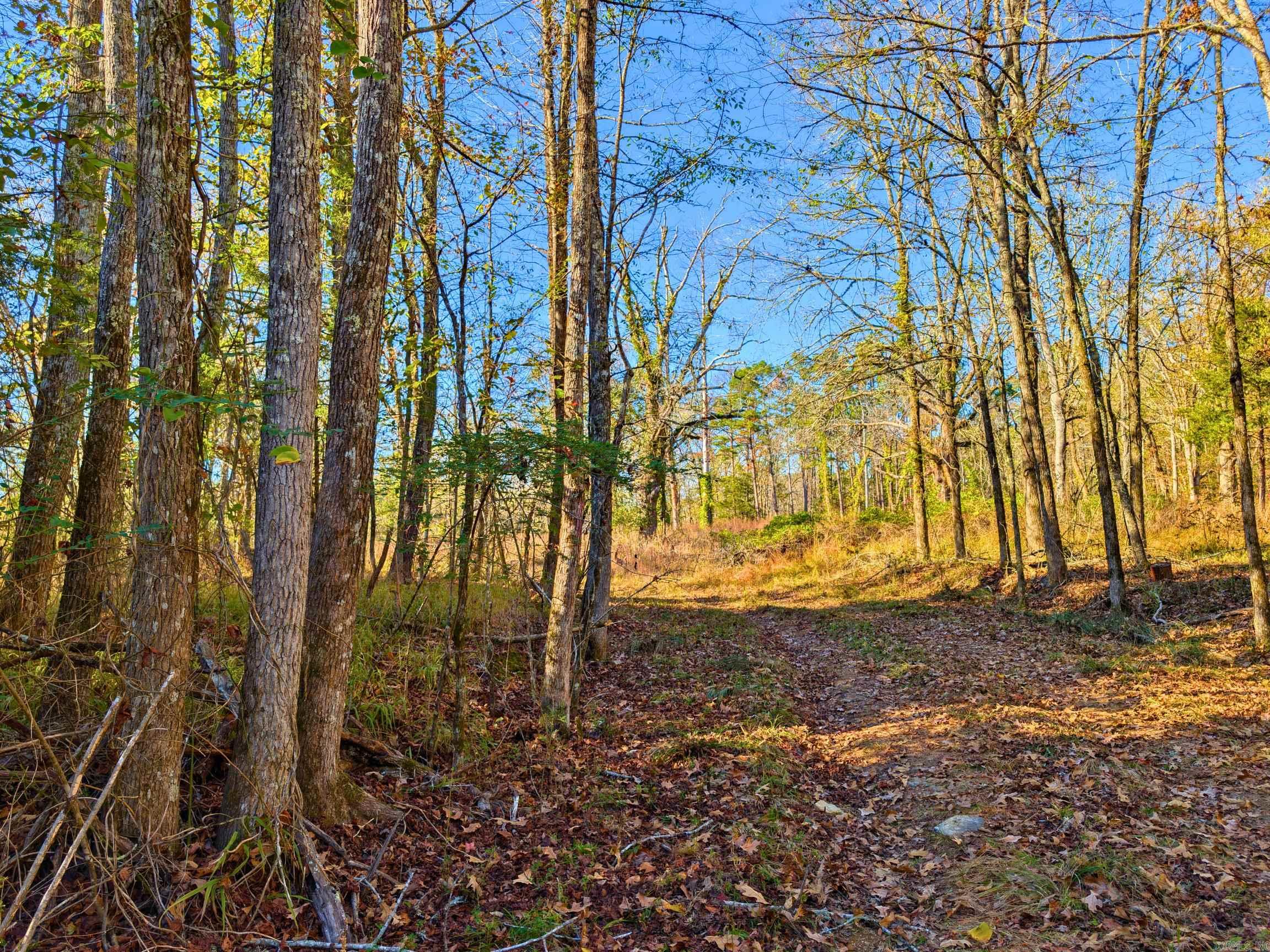 4206  HWY 298  Jessieville, AR