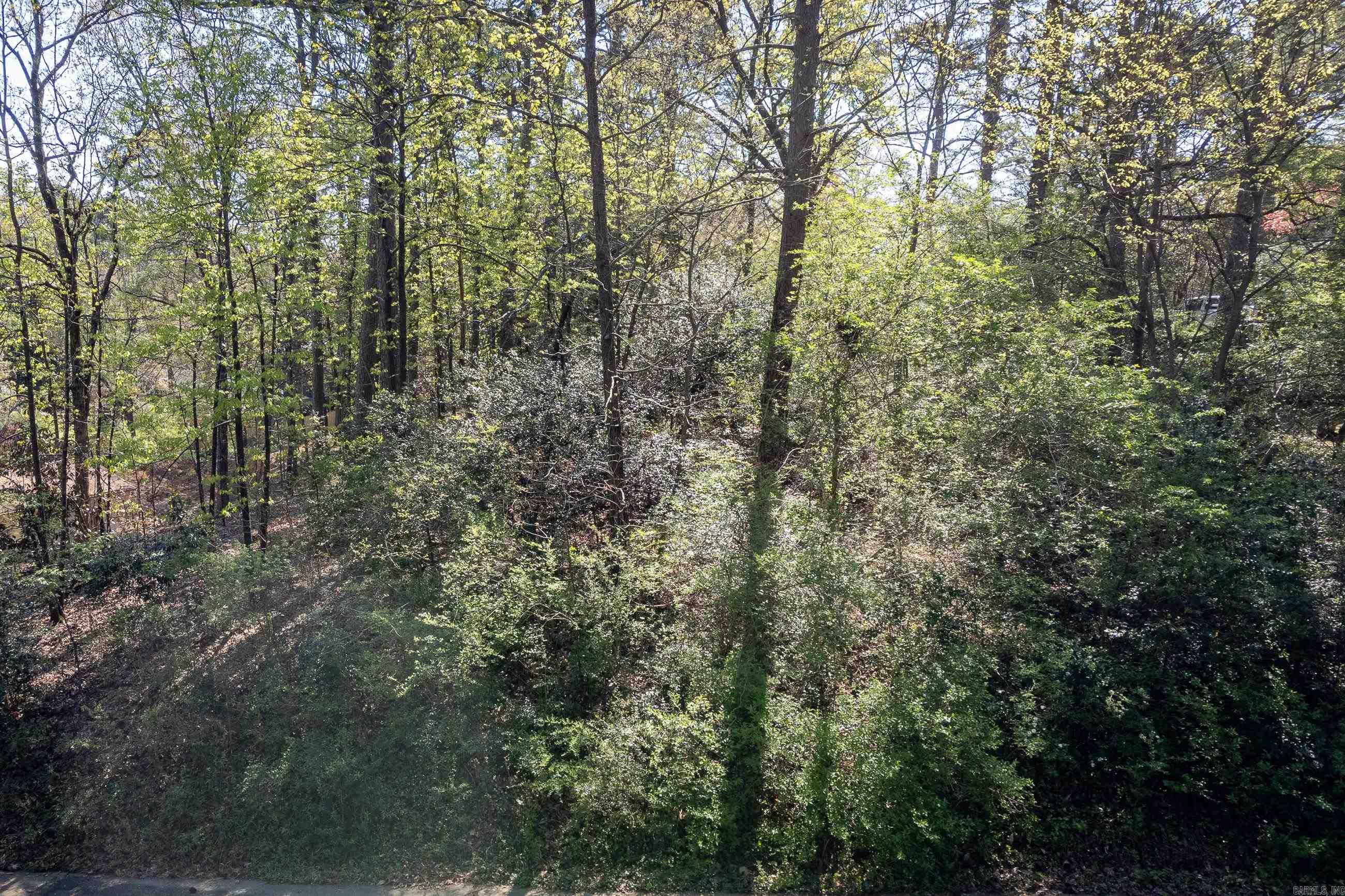 0  Kingston  Little Rock, AR