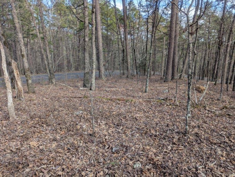 48  Lago Dr  Hot Springs Village, AR